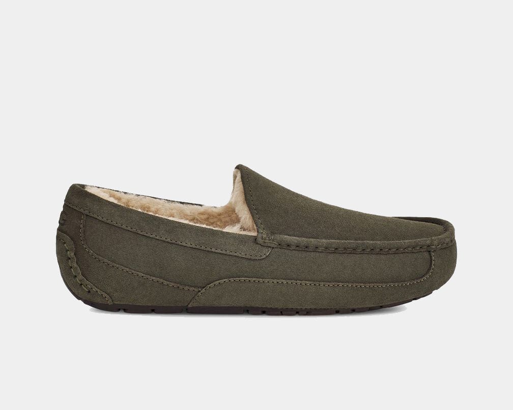 Ascot Suede product image