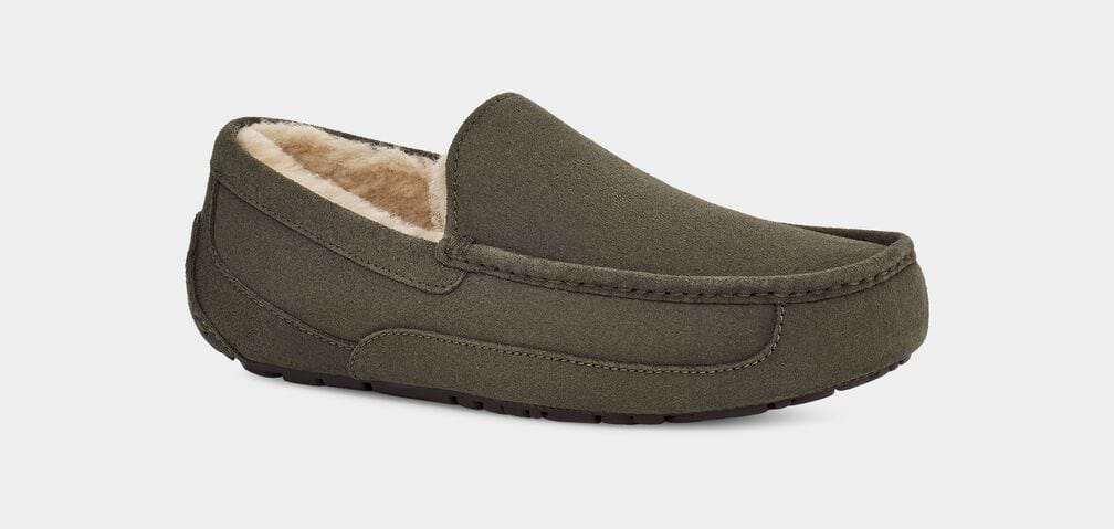 Ascot Suede product image