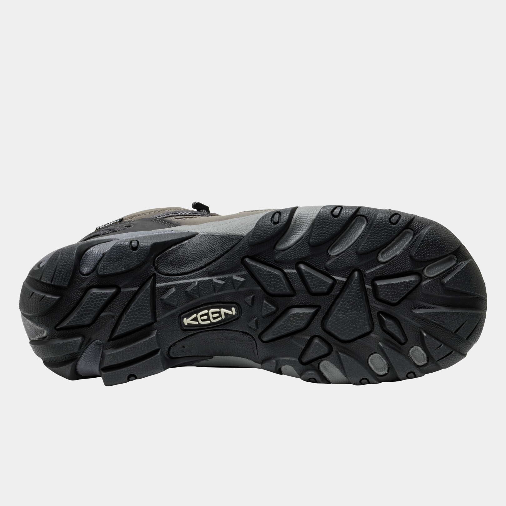 Targhee II Mid product image