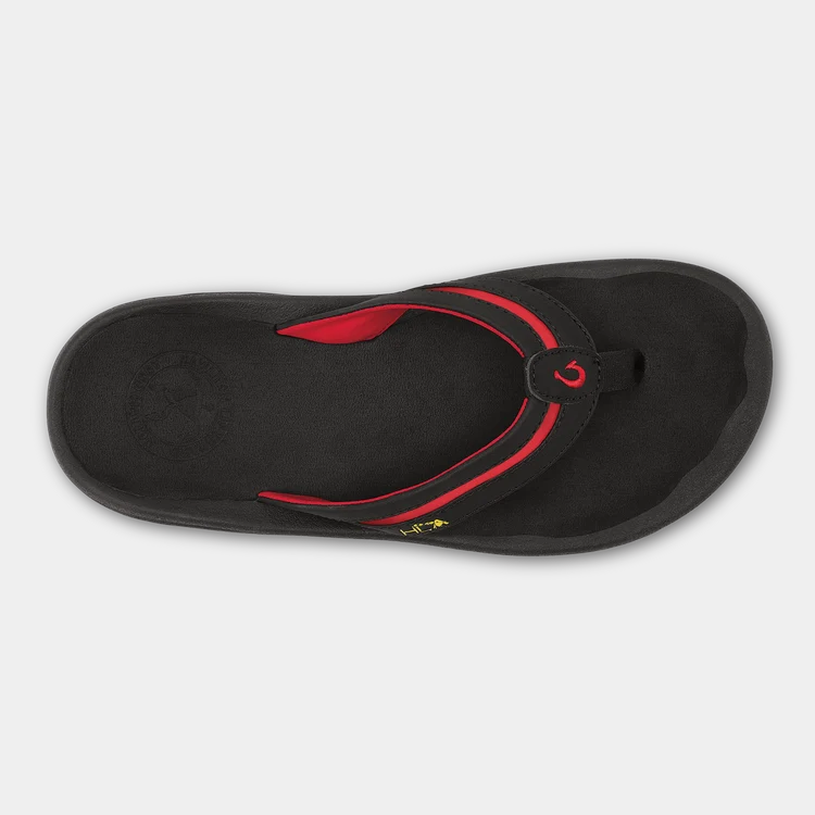 ʻOhana Pālua product image