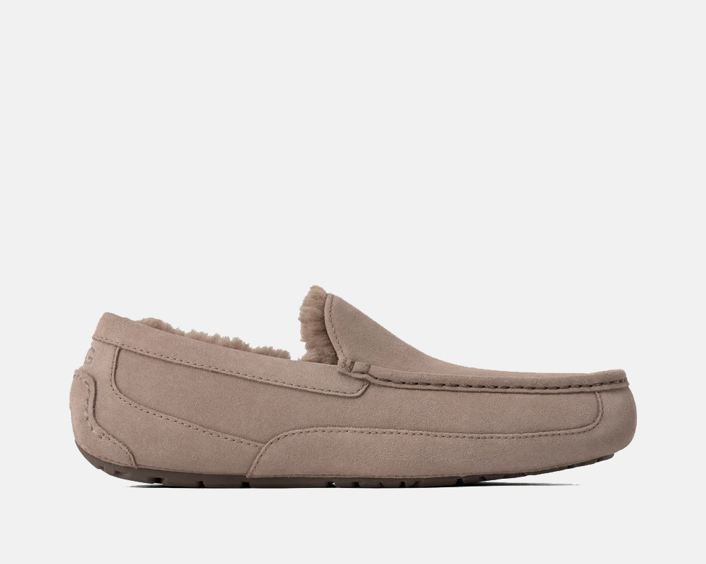 Ascot Suede product image