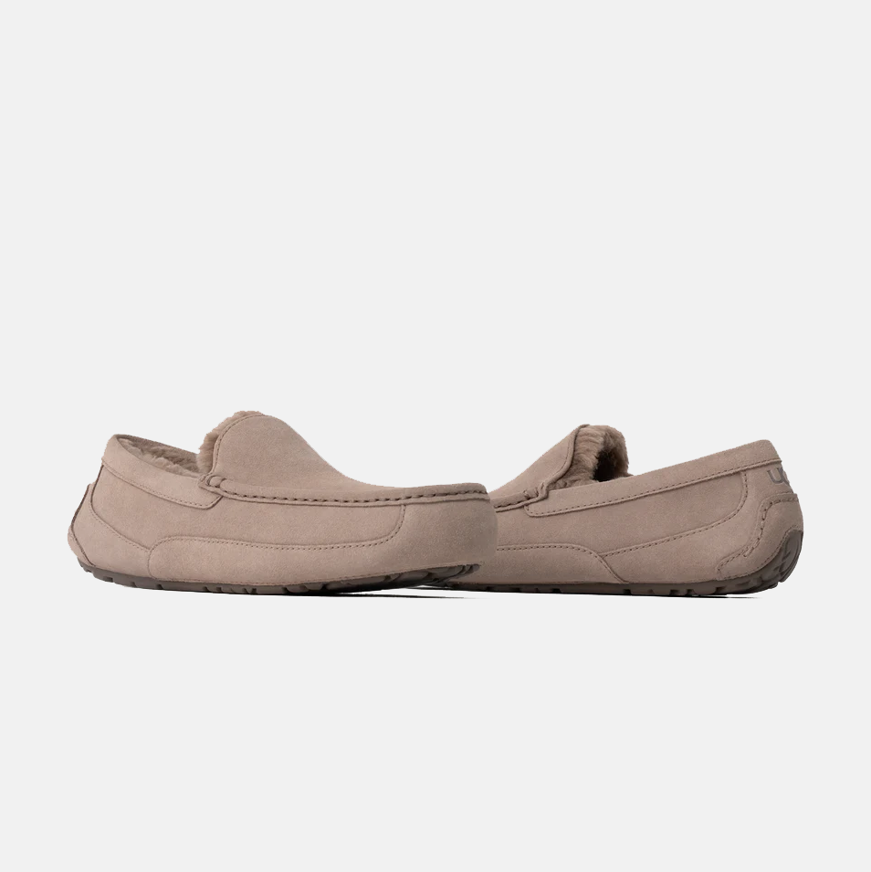 Ascot Suede product image