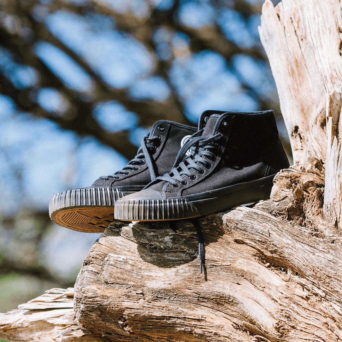 PF Flyers Sandlot Hi Top - Mens Large Sizes – BigShoes