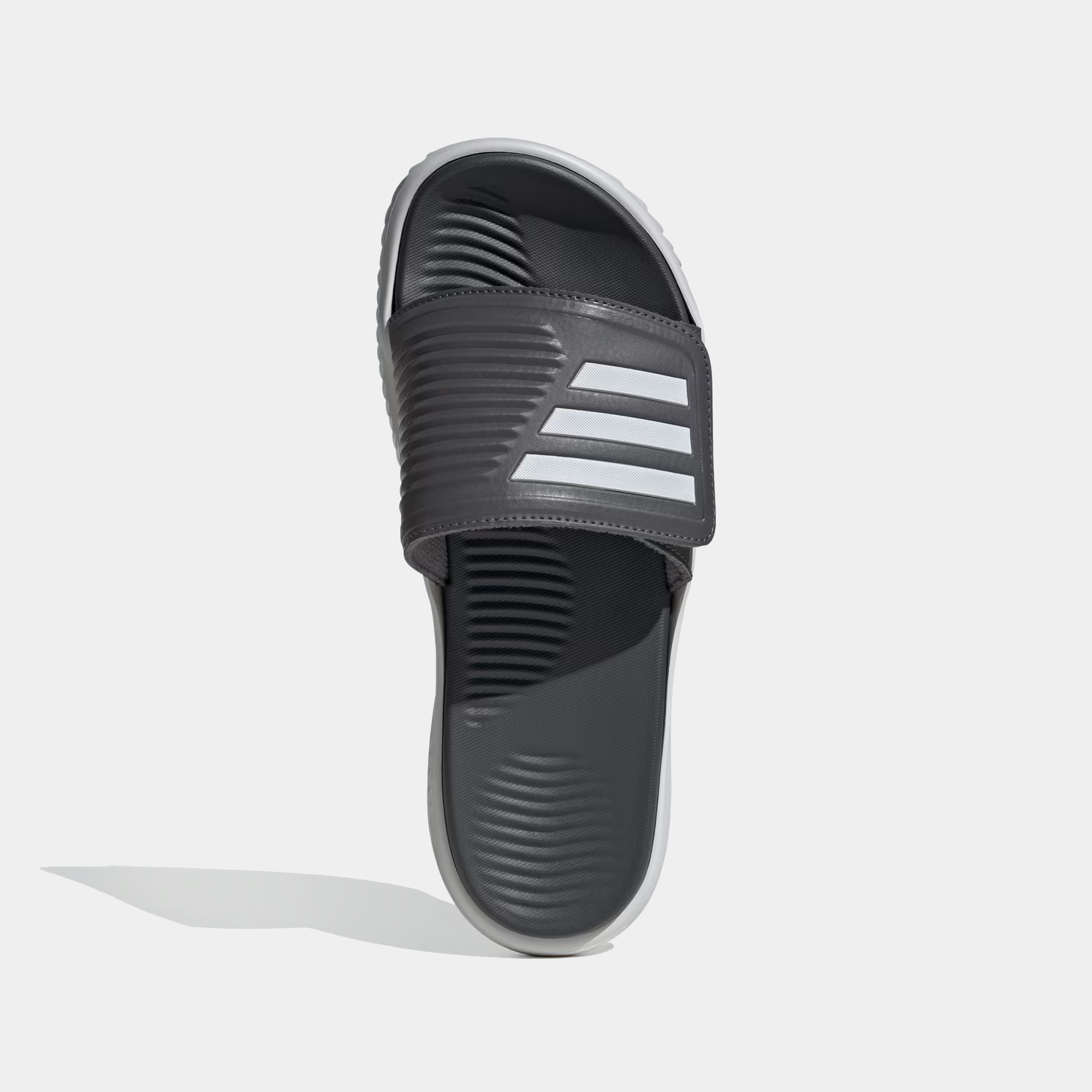 Alpharesponse 2.0 Slides product image