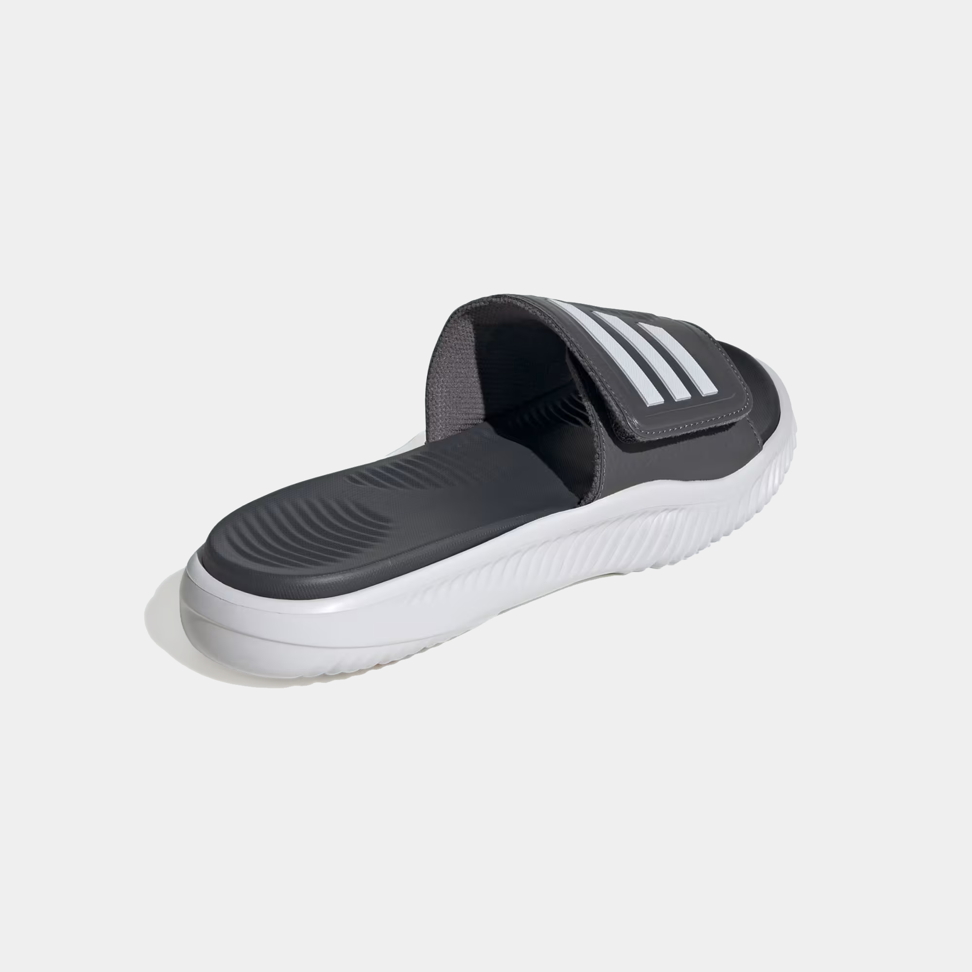 Alpharesponse 2.0 Slides product image