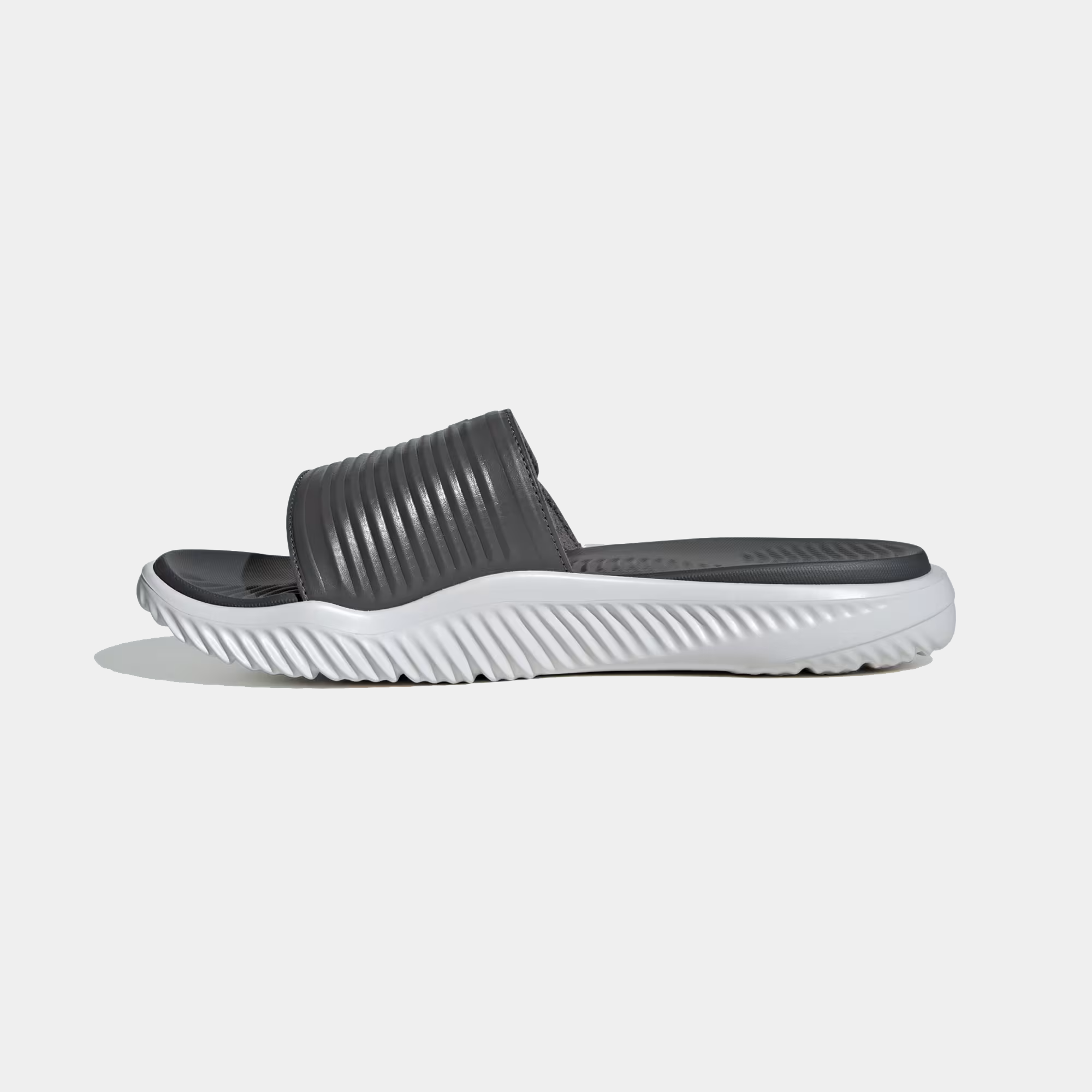 Alpharesponse 2.0 Slides product image