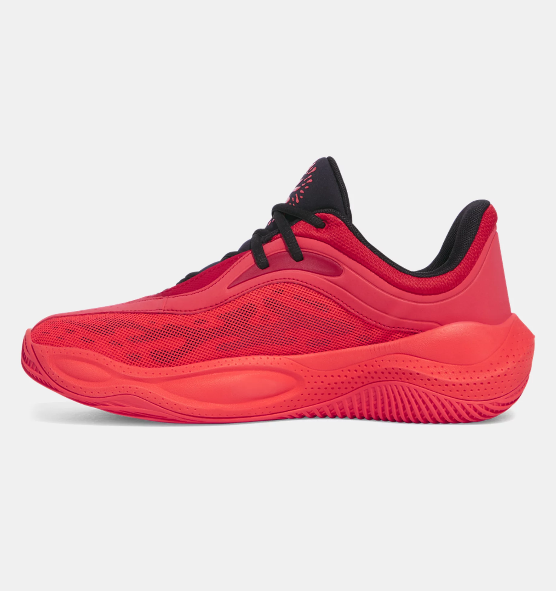 Curry Splash 25 product image