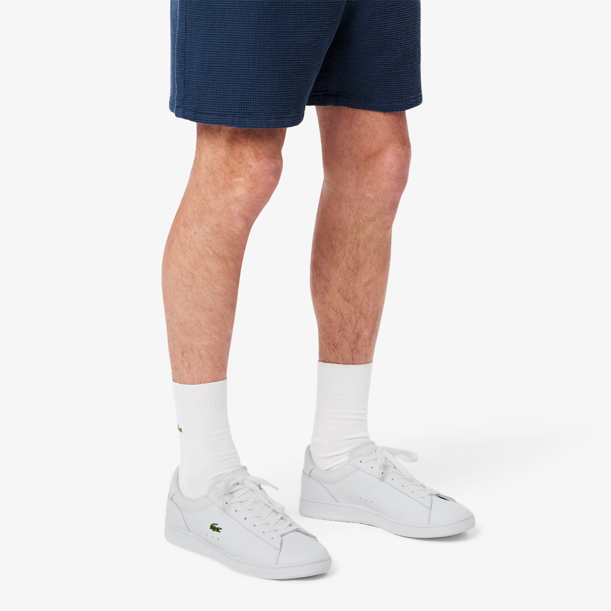 Carnaby Set Leather Sneakers product image