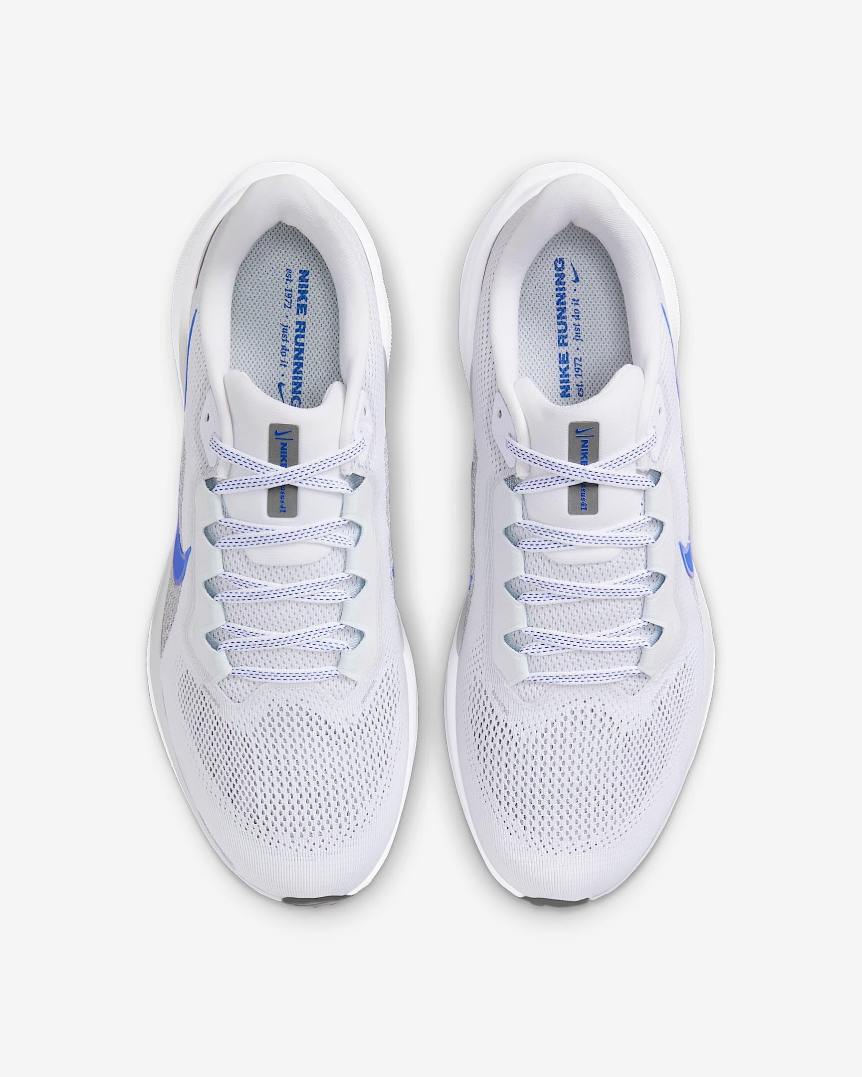 Air Zoom Pegasus 41 product image