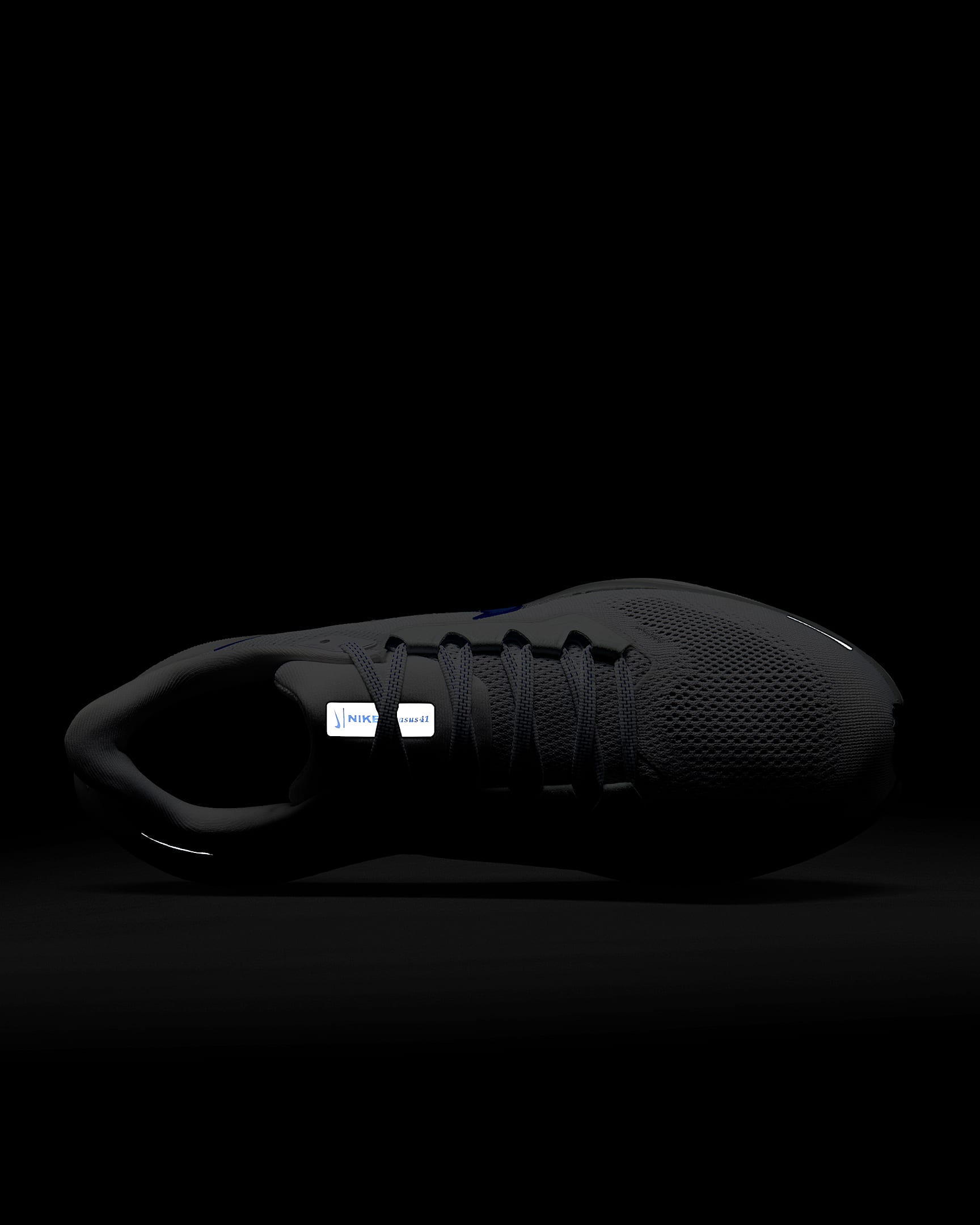 Air Zoom Pegasus 41 product image