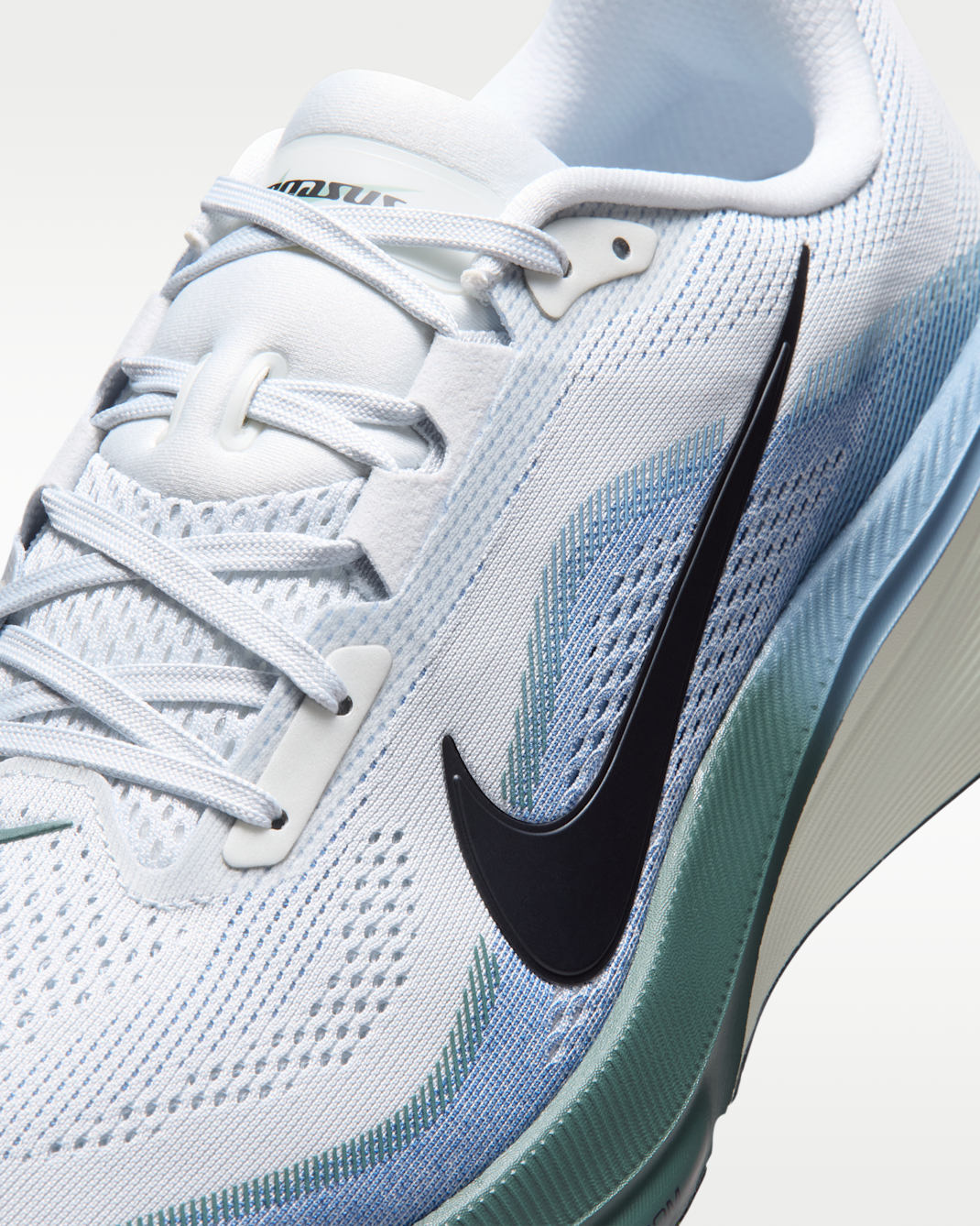Air Zoom Pegasus 42 product image