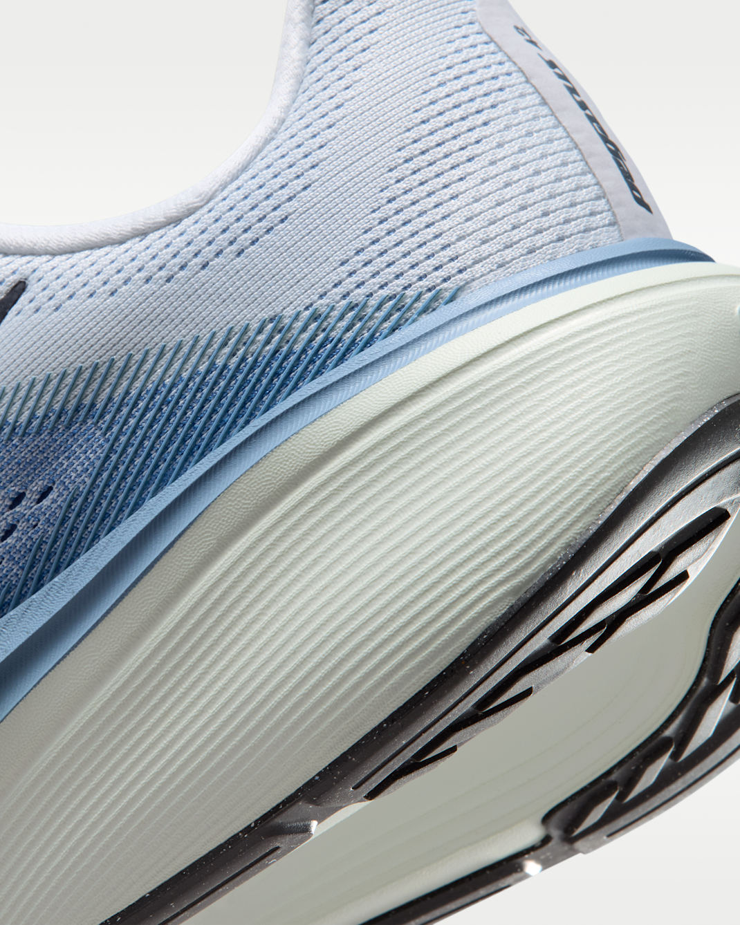 Air Zoom Pegasus 42 product image