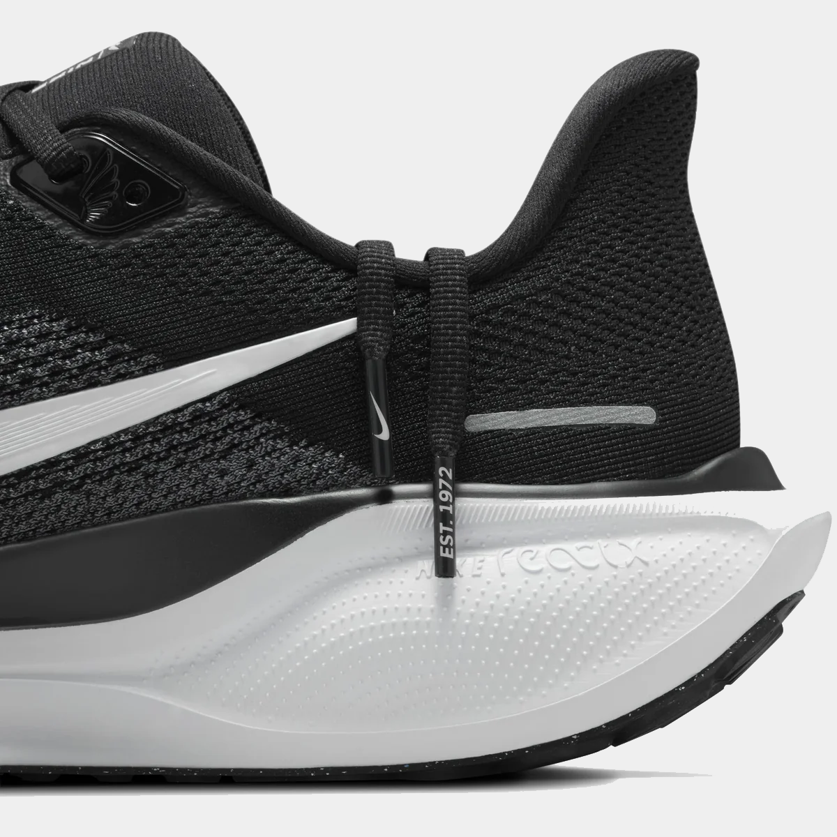 Air Zoom Pegasus 41 product image