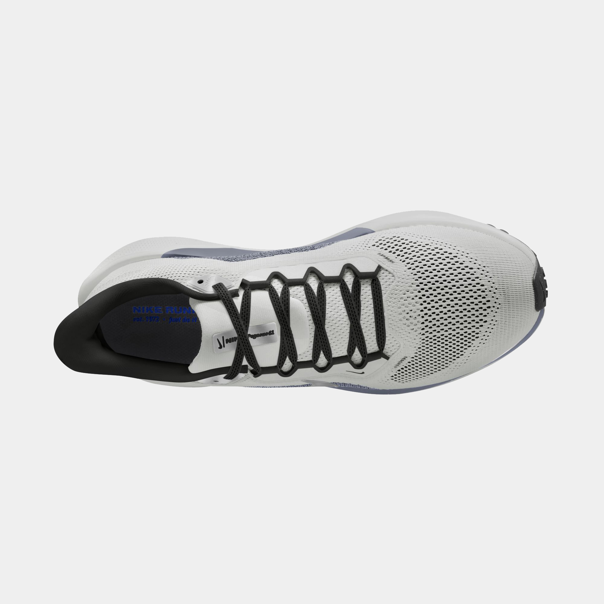 Air Zoom Pegasus 41 product image