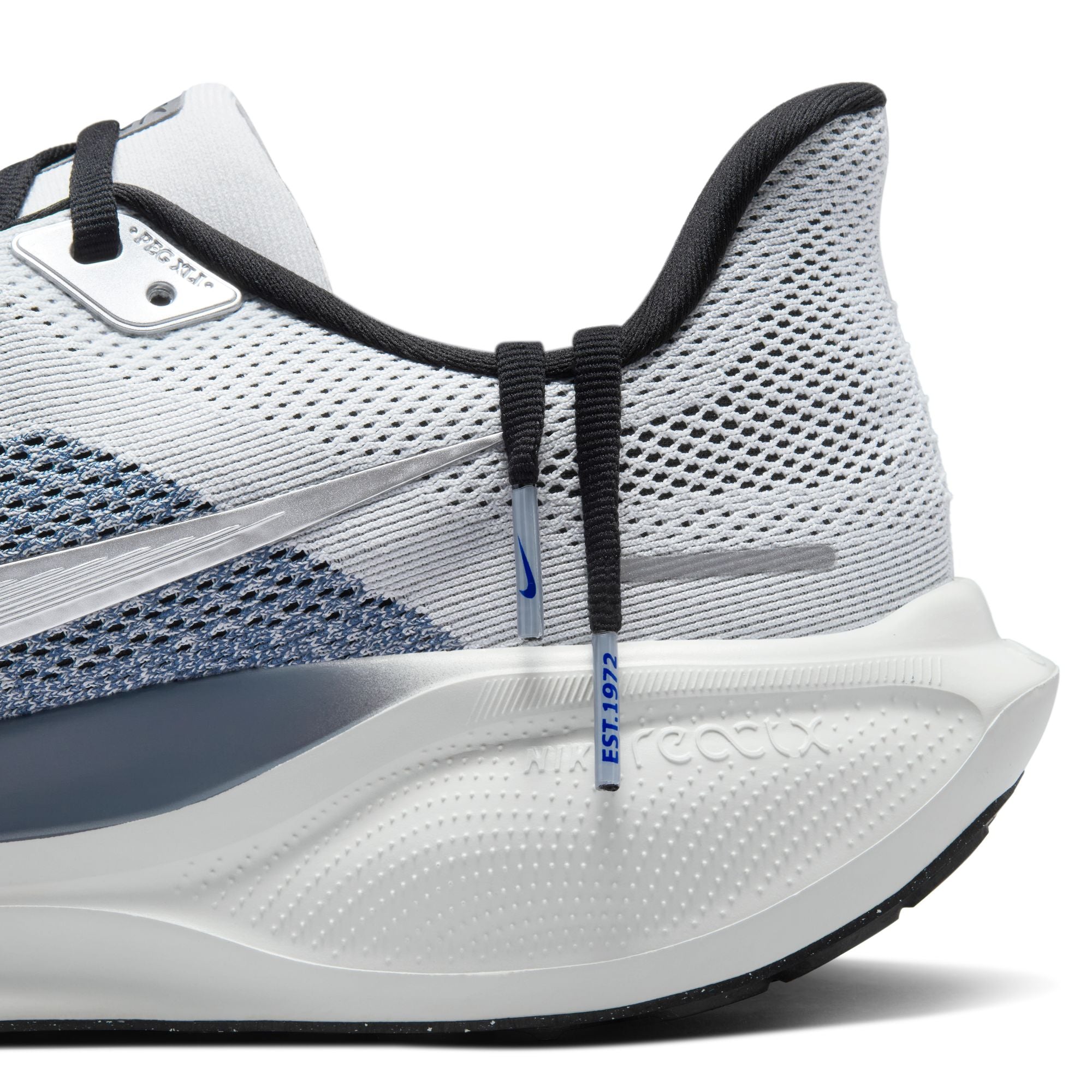 Air Zoom Pegasus 41 product image