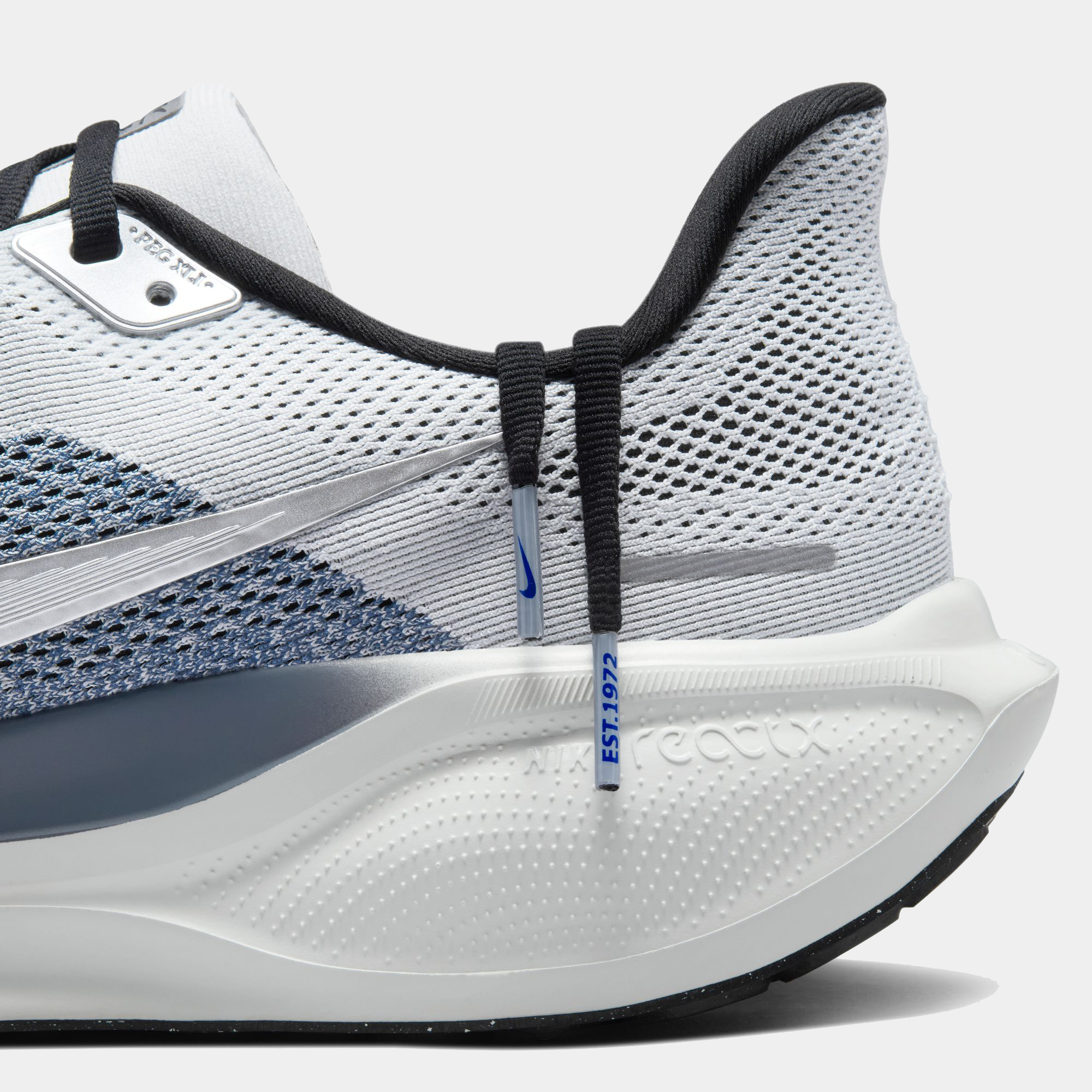 Air Zoom Pegasus 41 product image