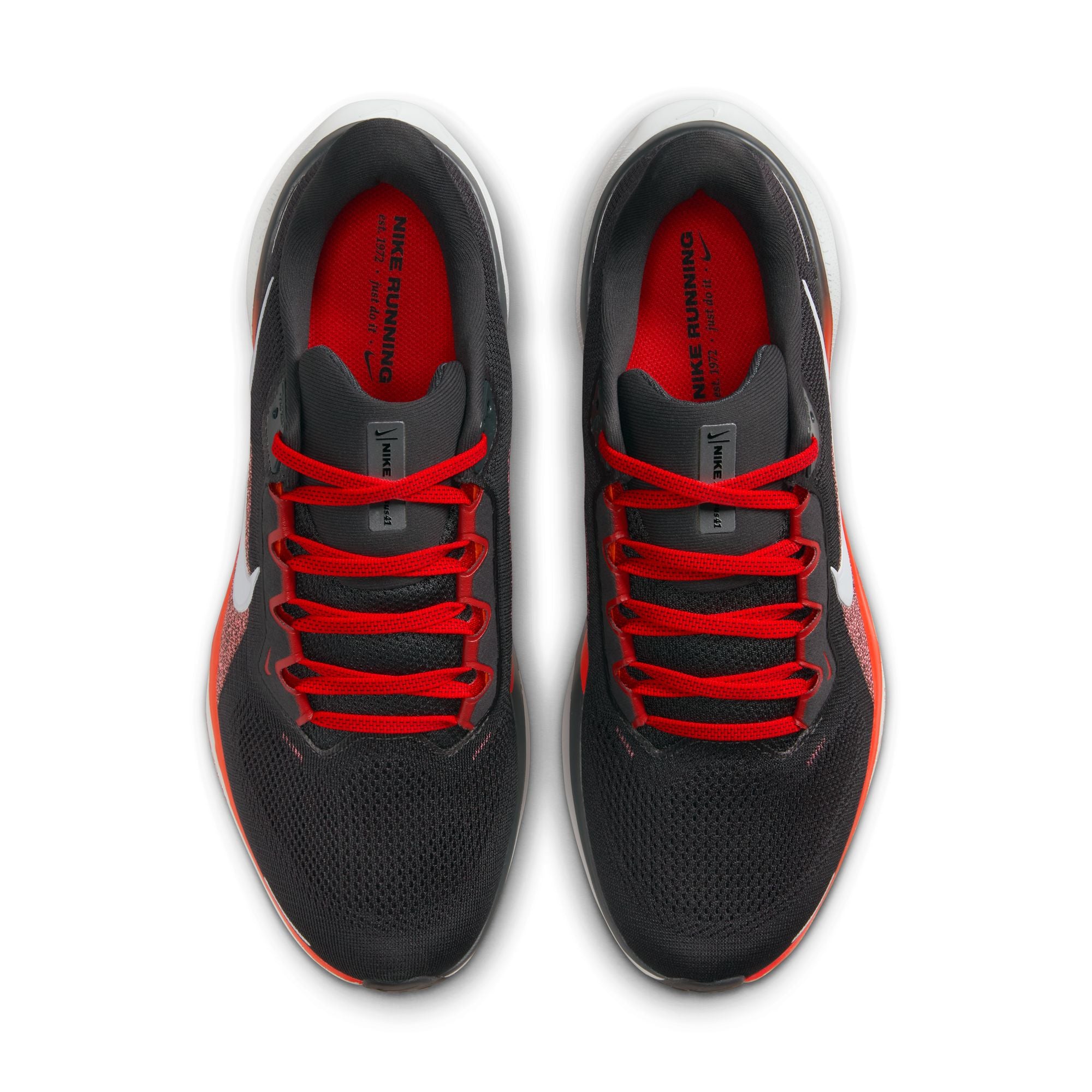 Air Zoom Pegasus 41 product image