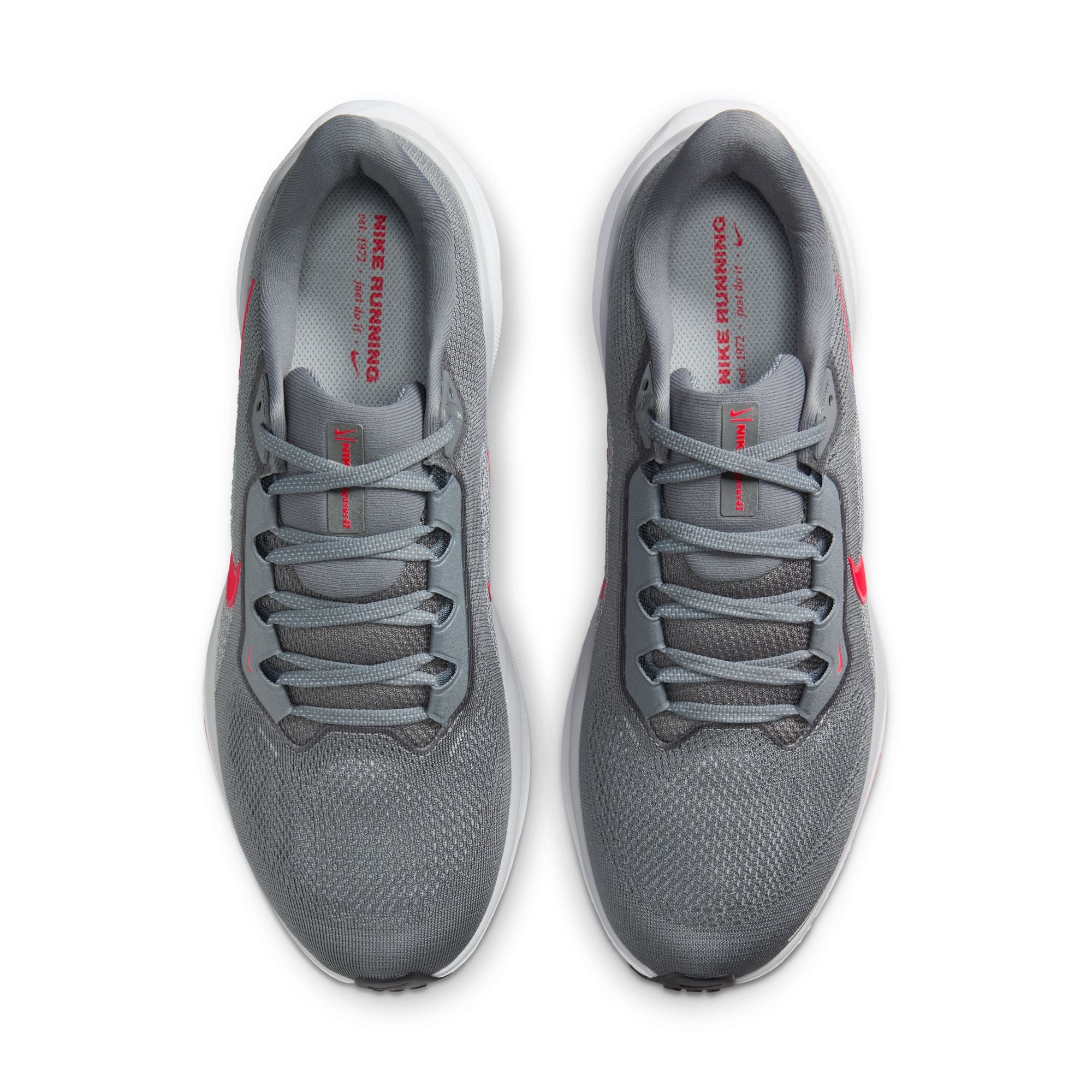 Air Zoom Pegasus 41 product image
