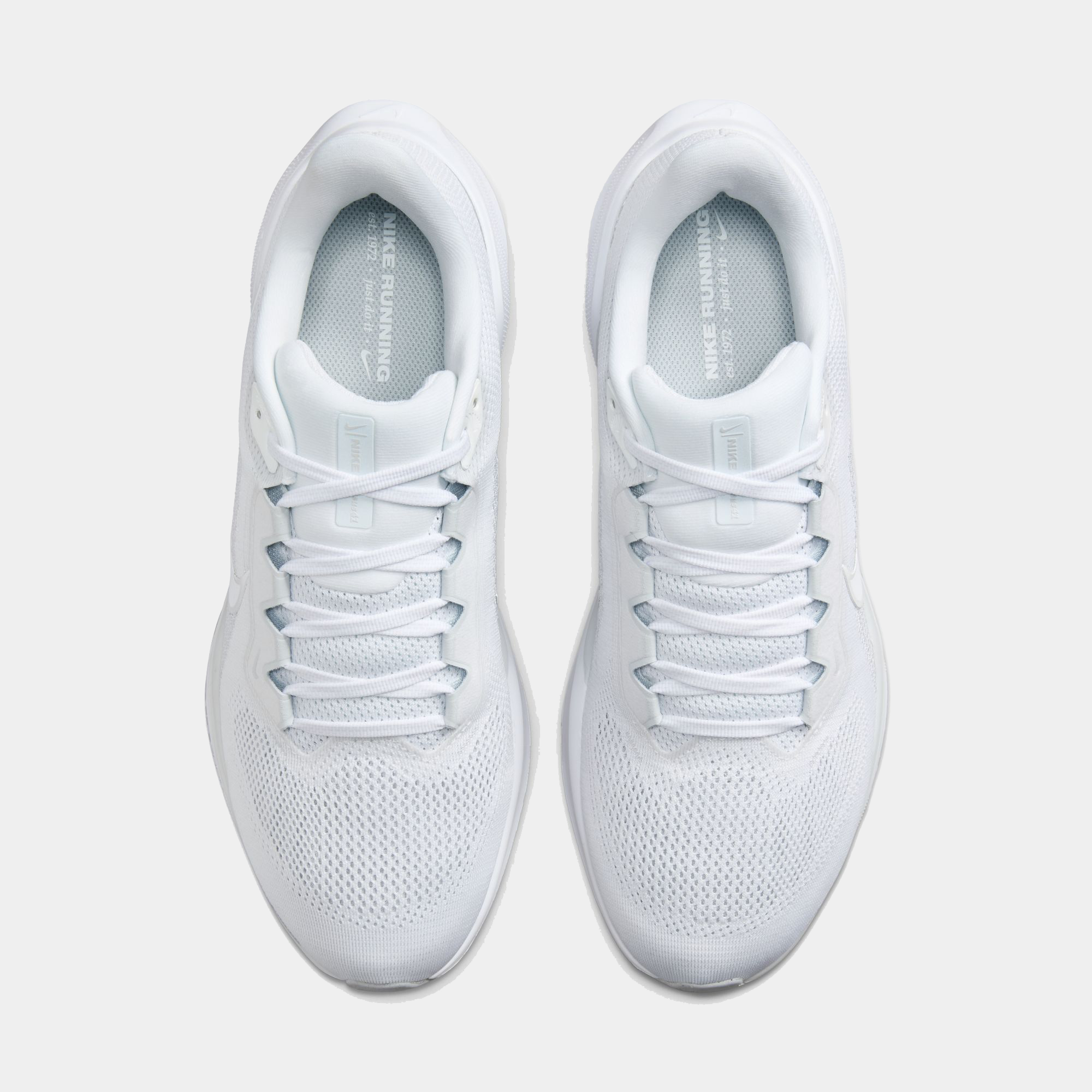 Air Zoom Pegasus 41 product image