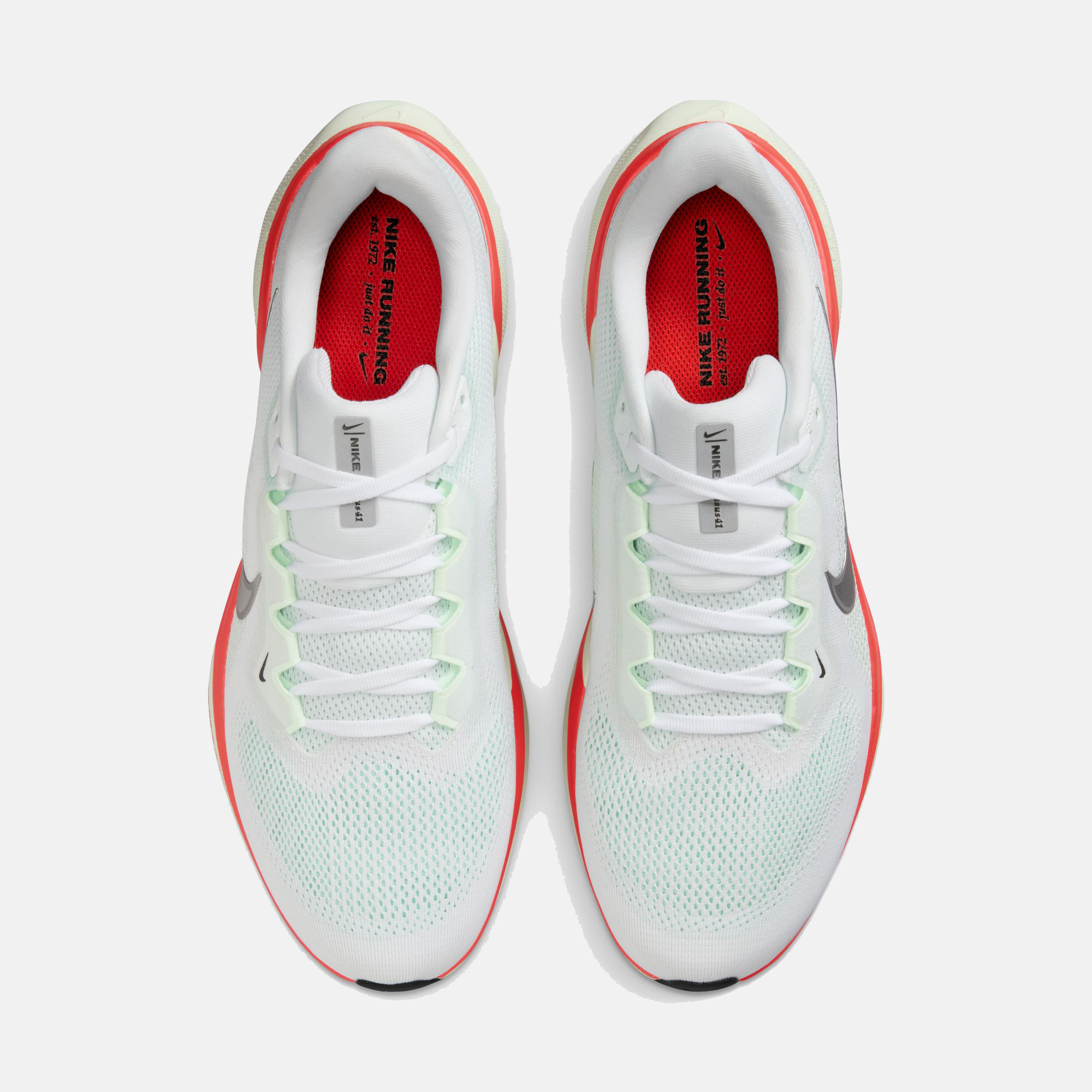 Air Zoom Pegasus 41 product image