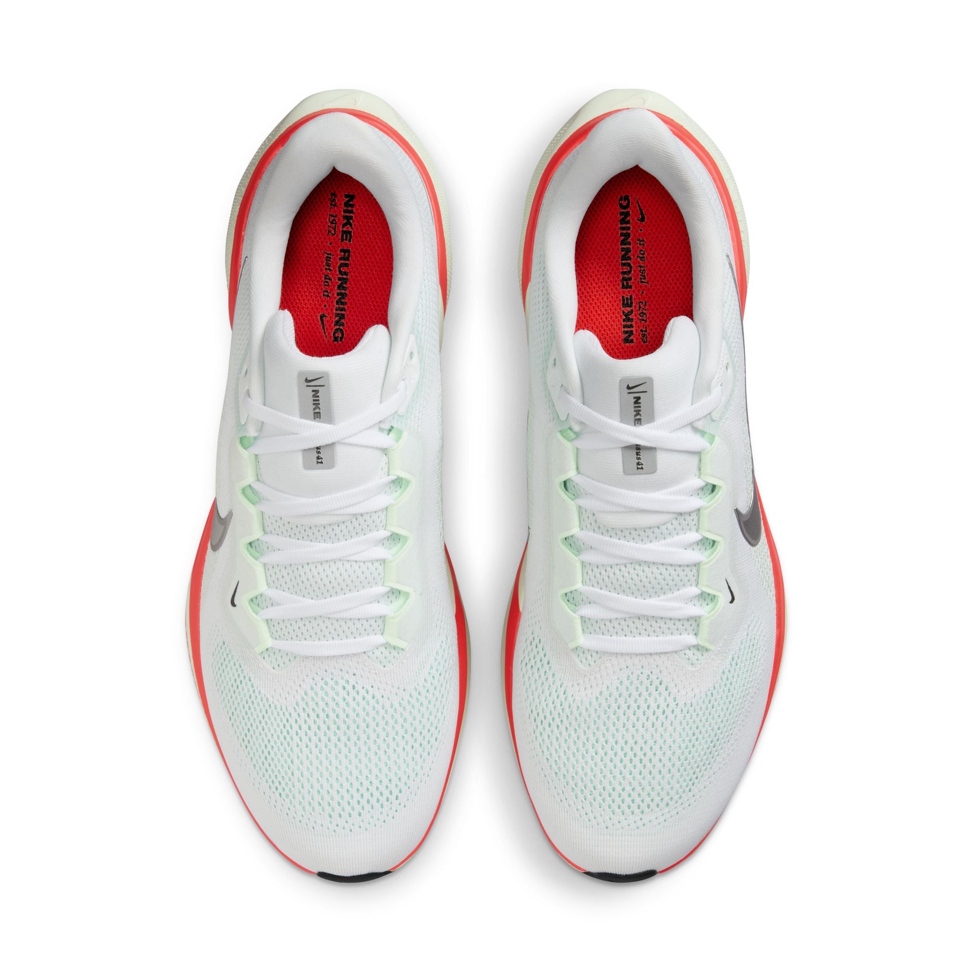 Air Zoom Pegasus 41 product image