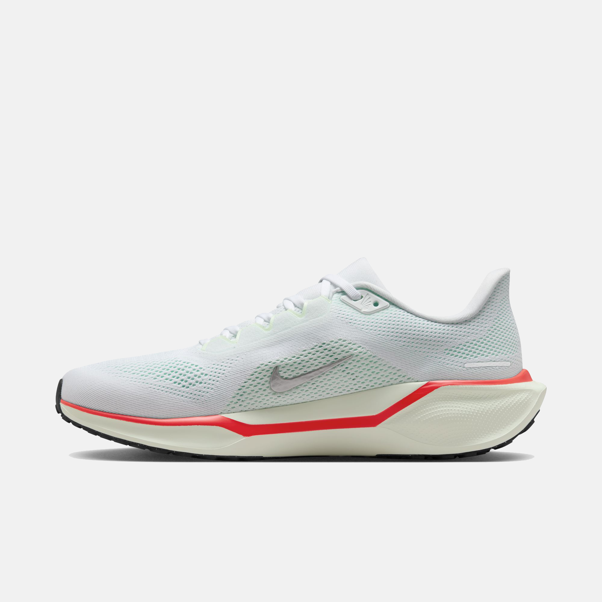 Air Zoom Pegasus 41 product image