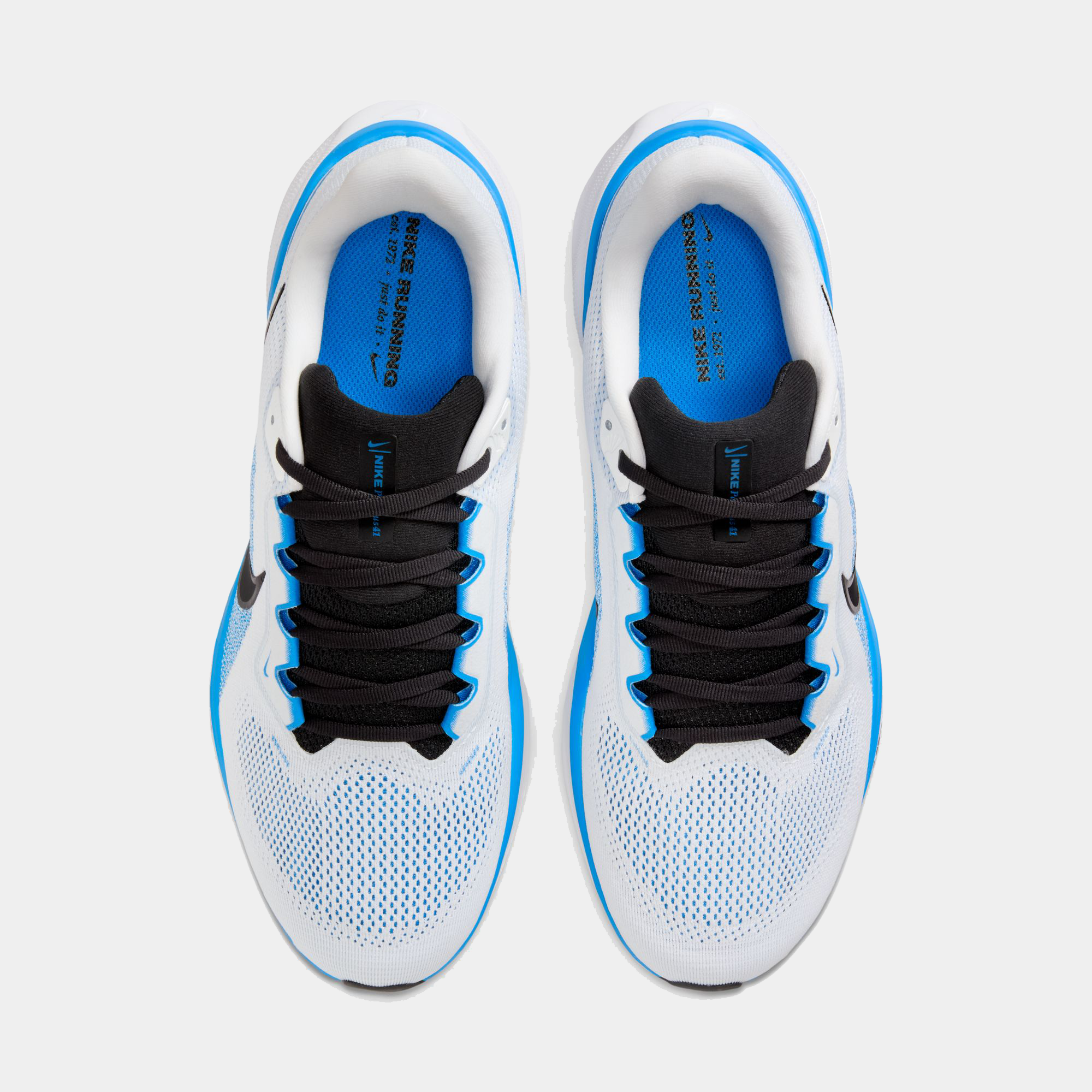 Air Zoom Pegasus 41 product image