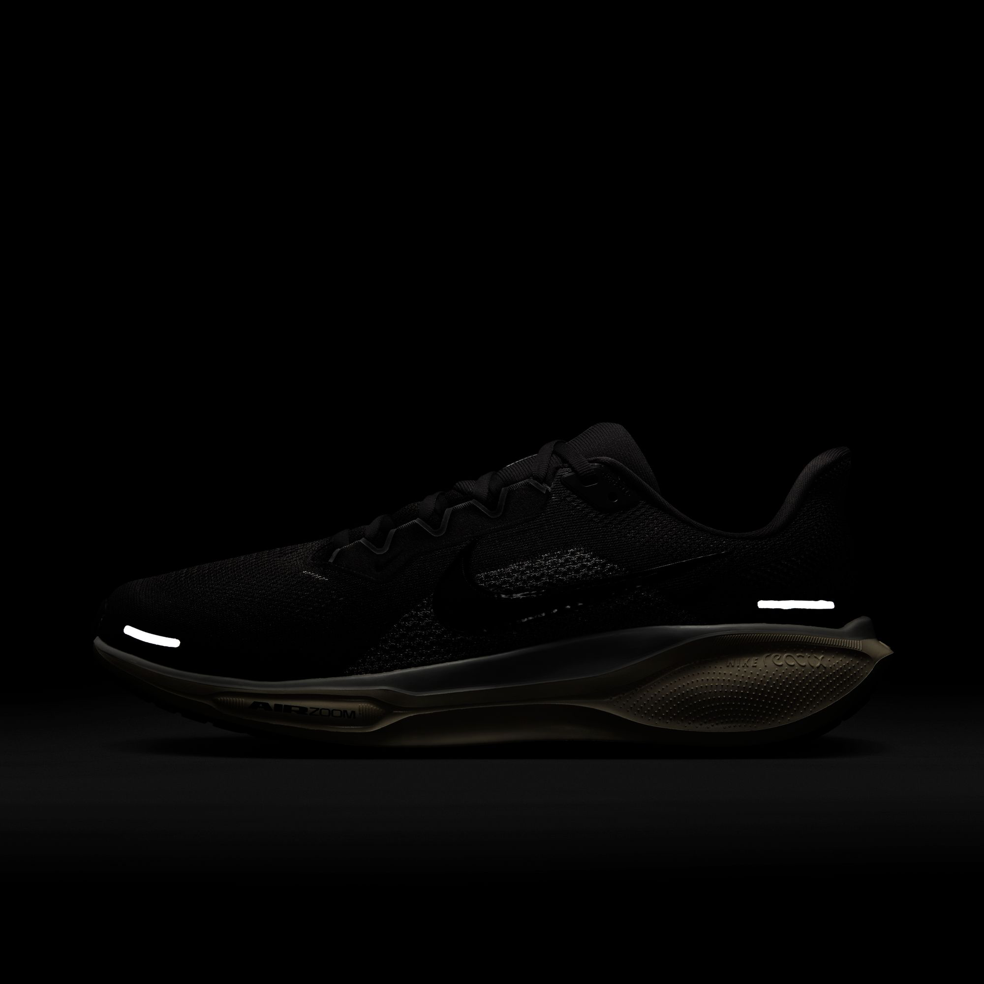 Air Zoom Pegasus 41 product image