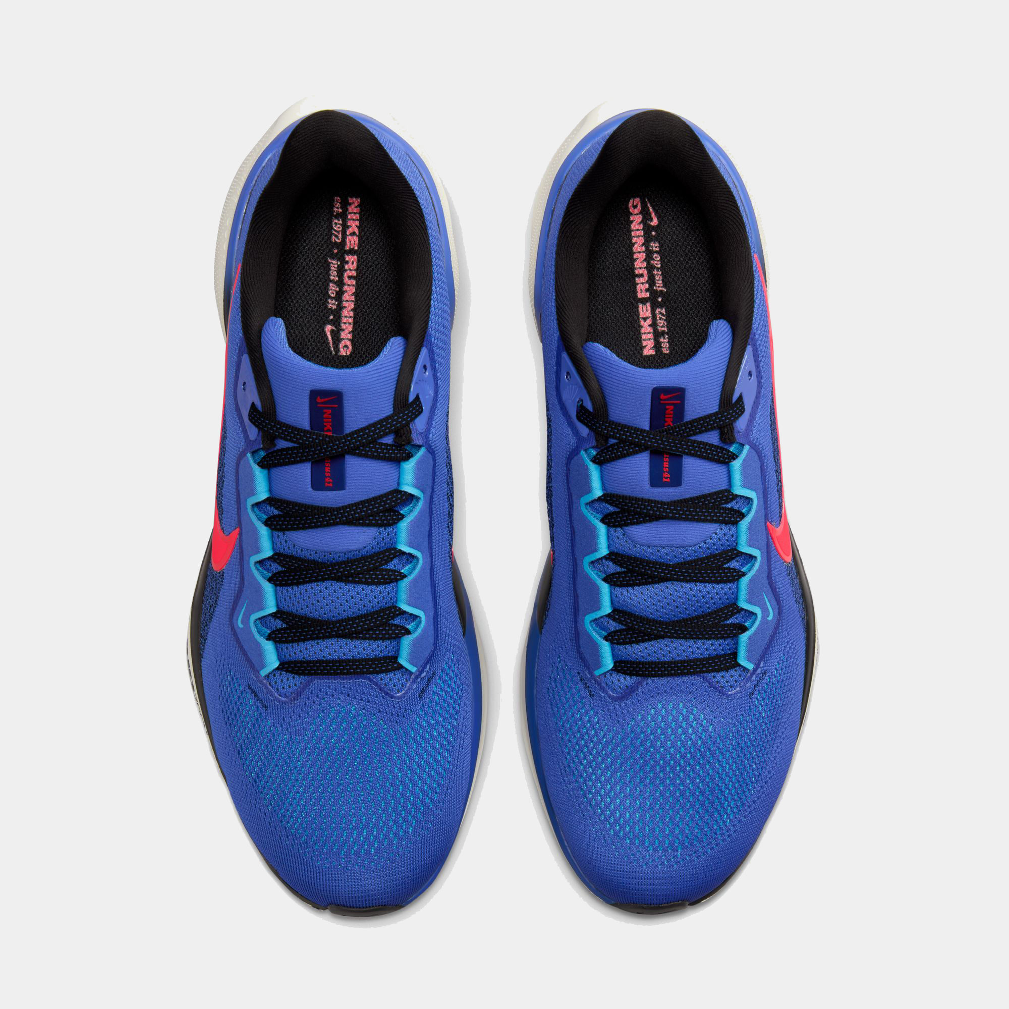 Air Zoom Pegasus 41 product image