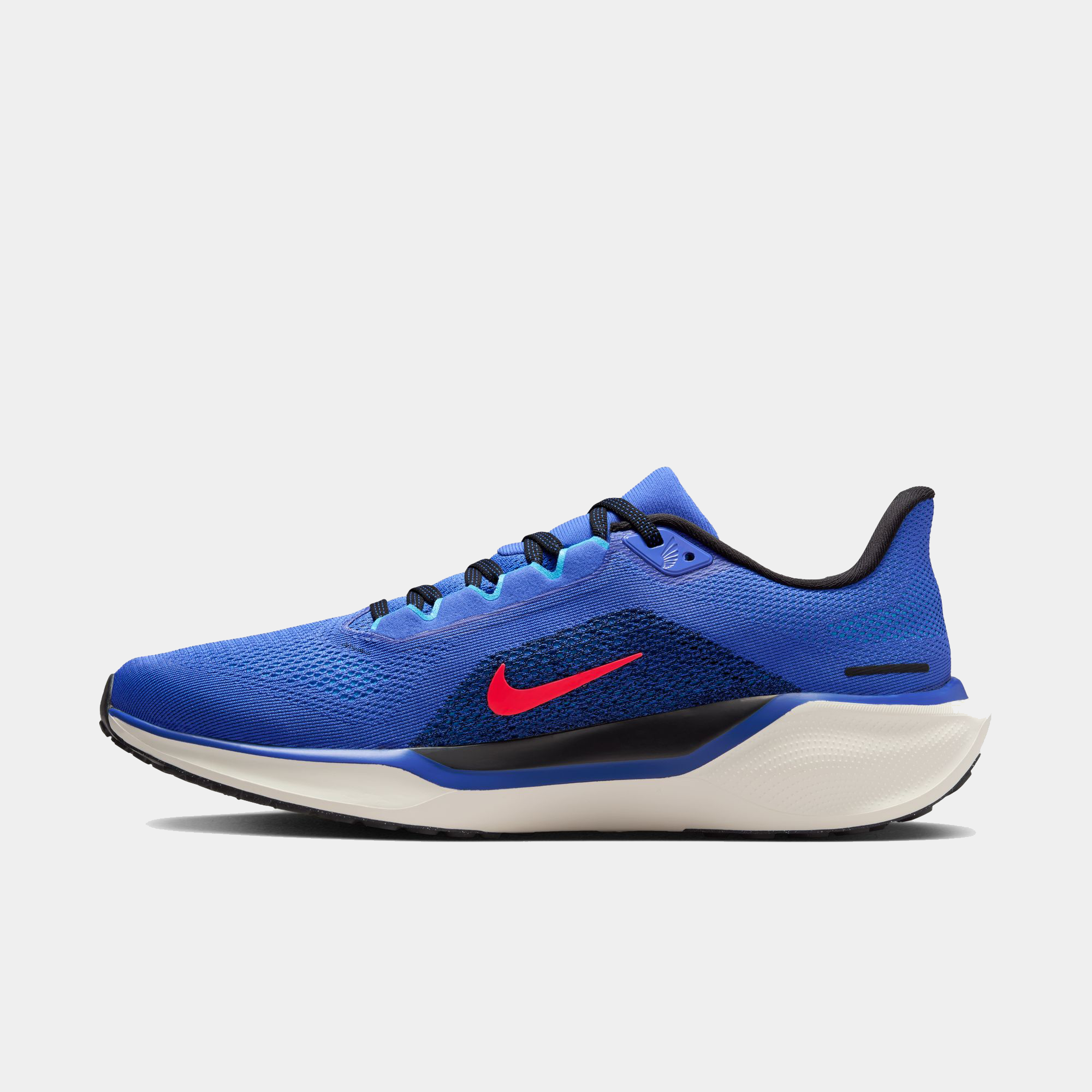 Air Zoom Pegasus 41 product image