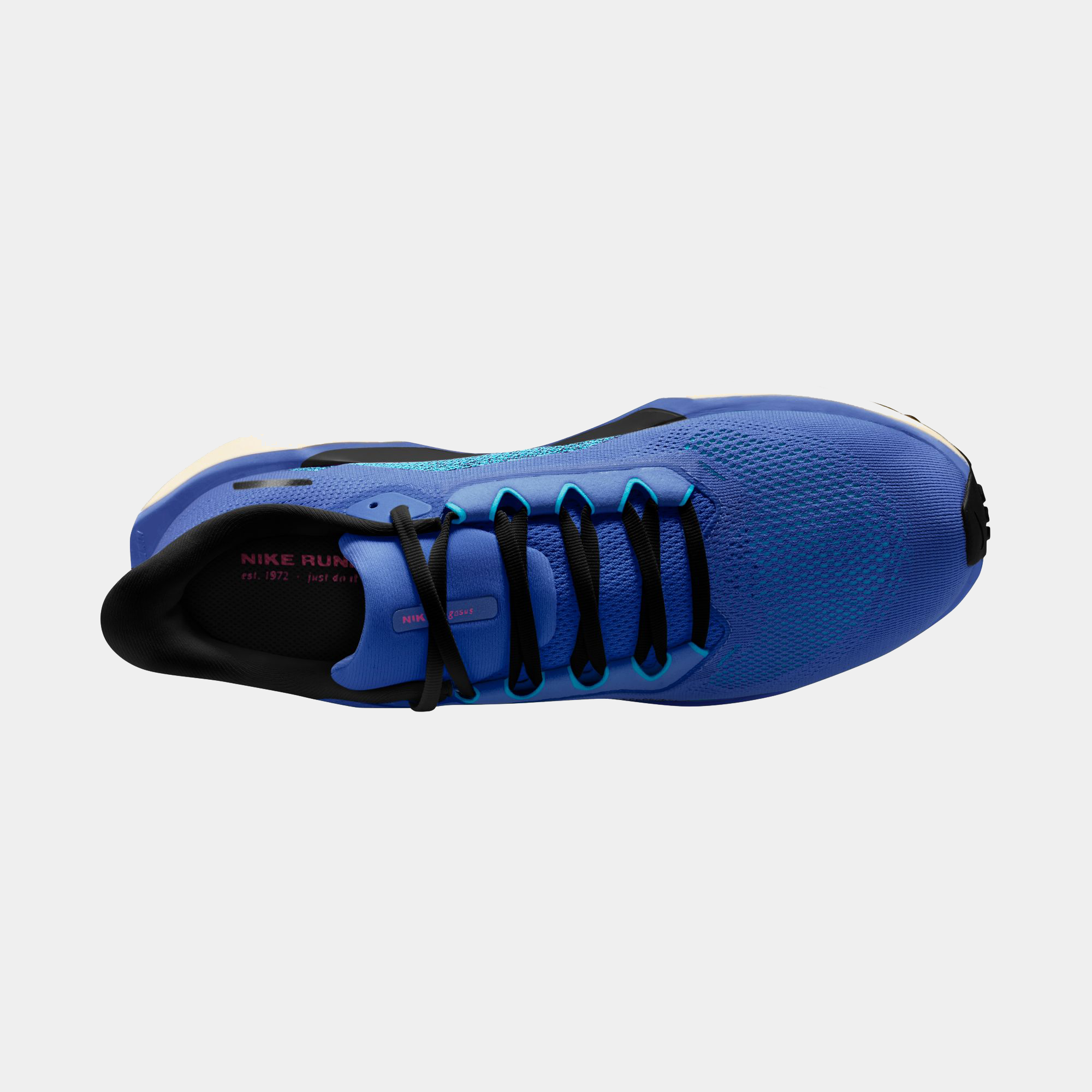 Air Zoom Pegasus 41 product image