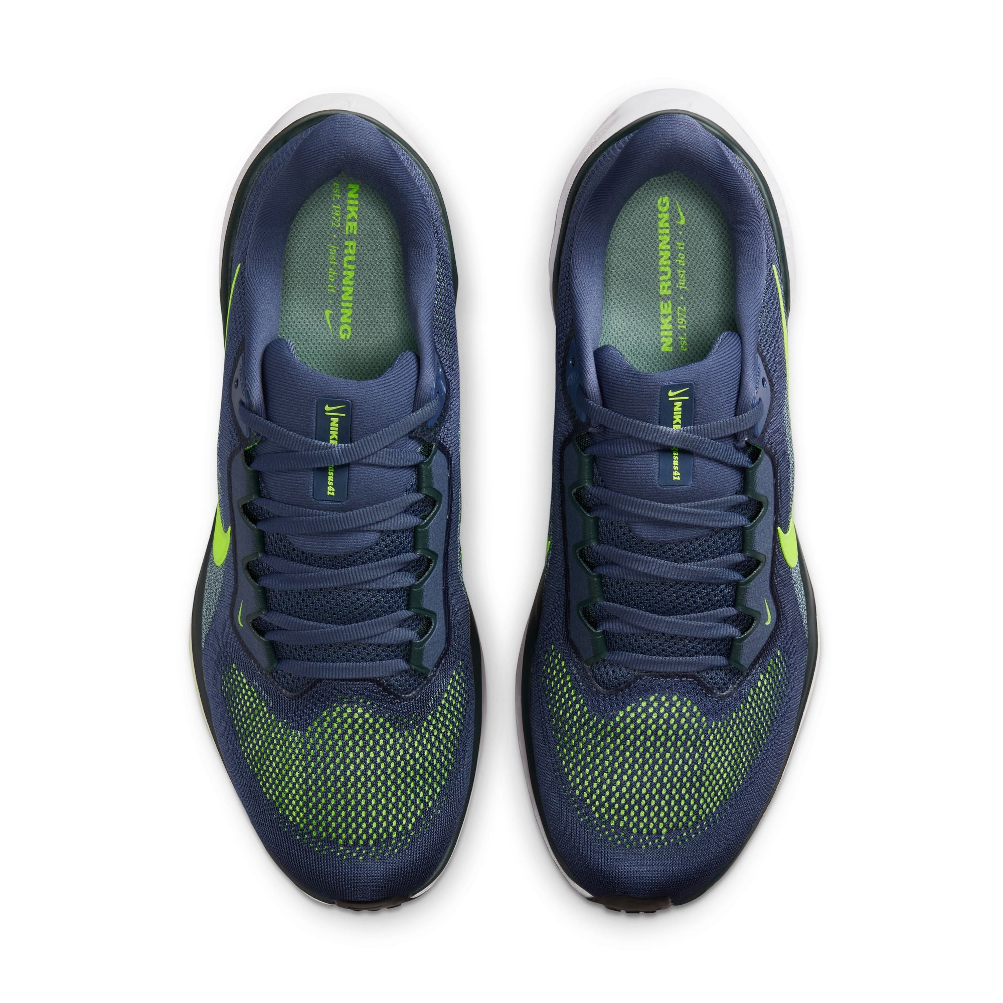 Air Zoom Pegasus 41 product image