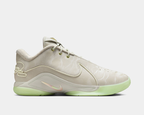 LeBron XXII
