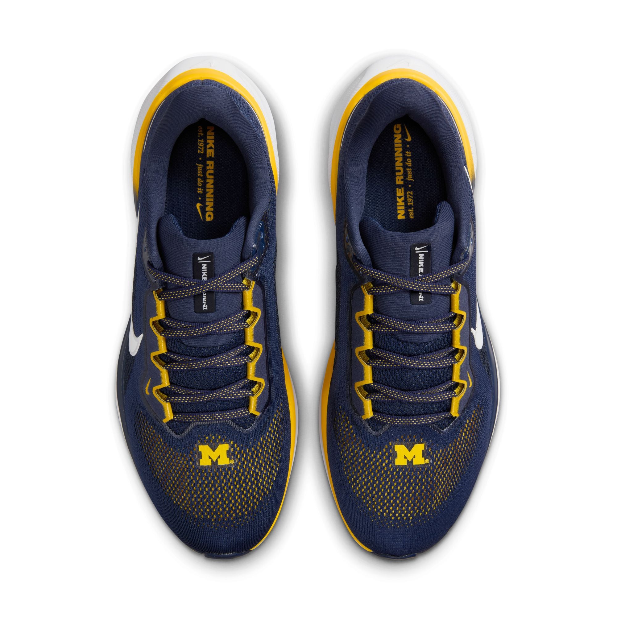 Air Zoom Pegasus 41 Michigan product image