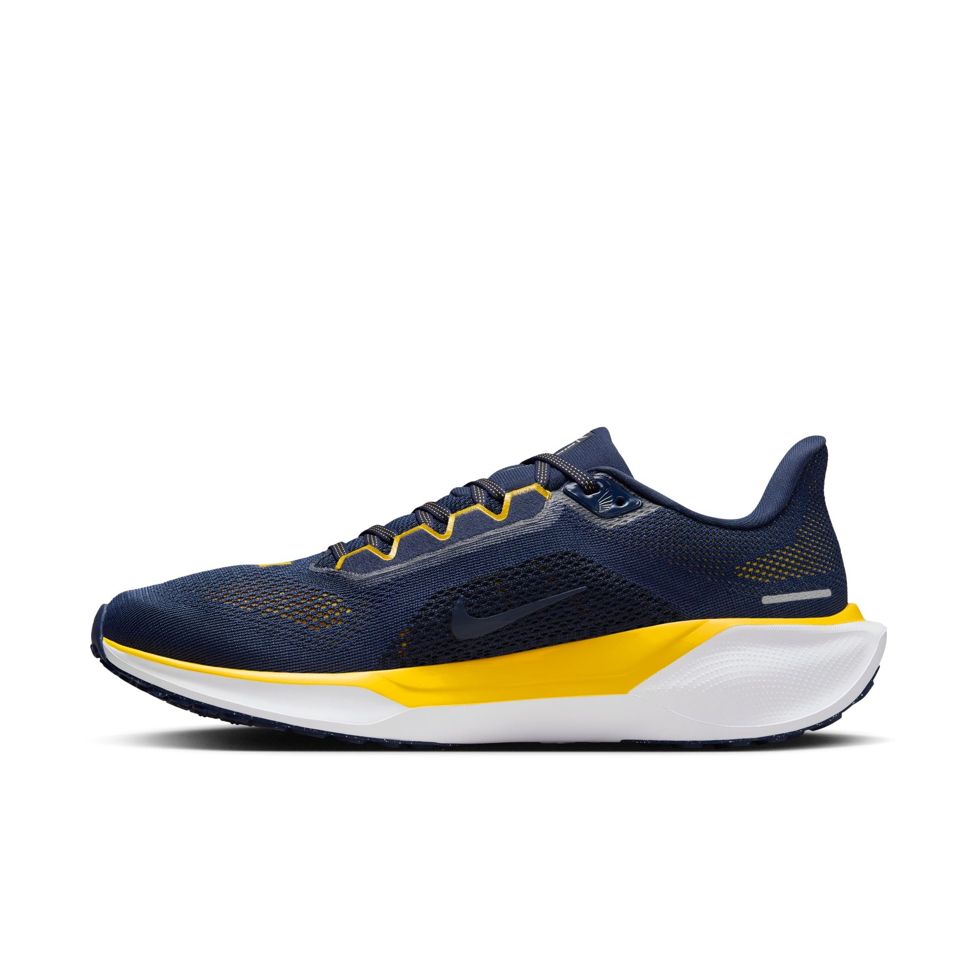 Air Zoom Pegasus 41 Michigan product image