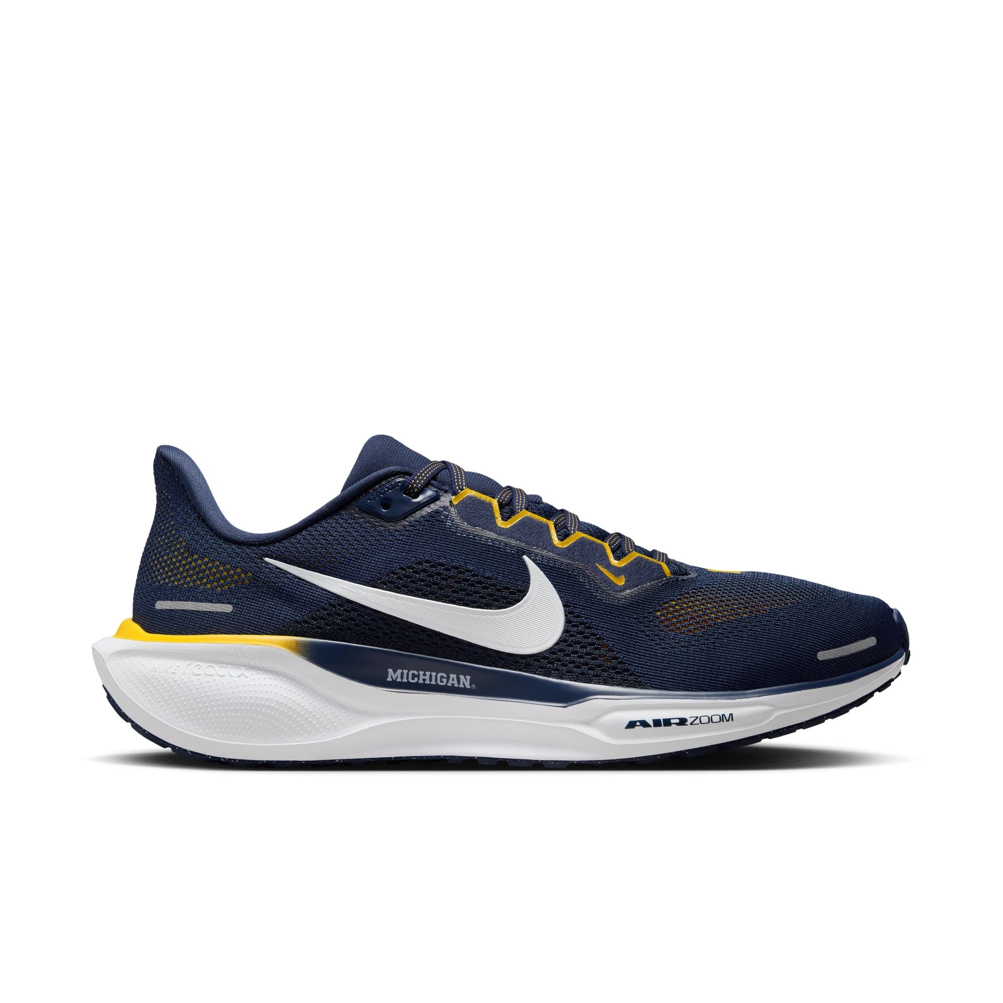 Air Zoom Pegasus 41 Michigan product image