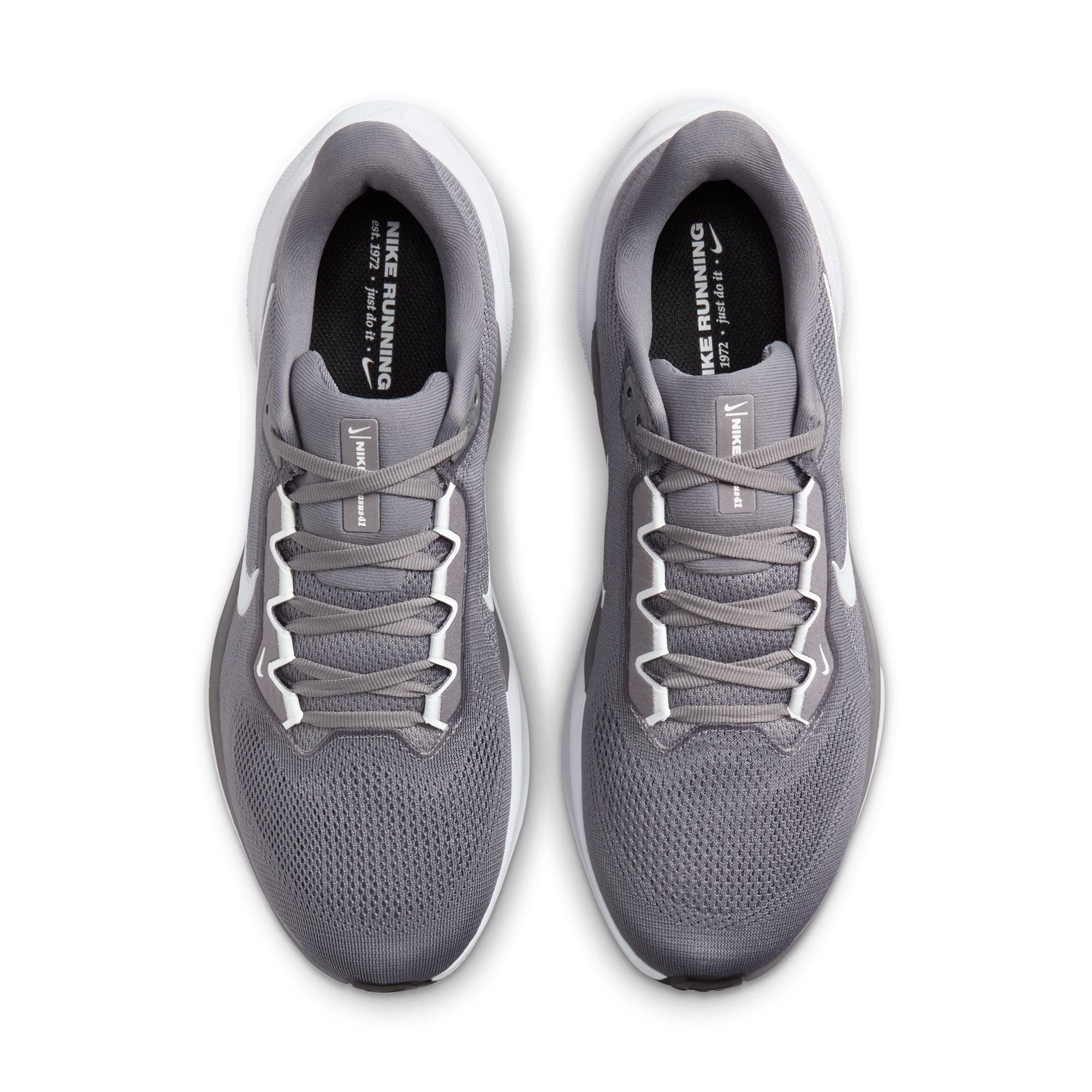 Air Zoom Pegasus 41 TB product image