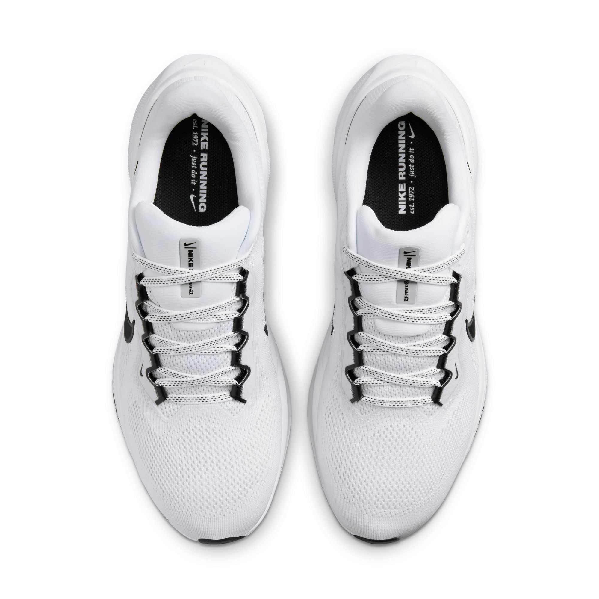 Air Zoom Pegasus 41 TB product image