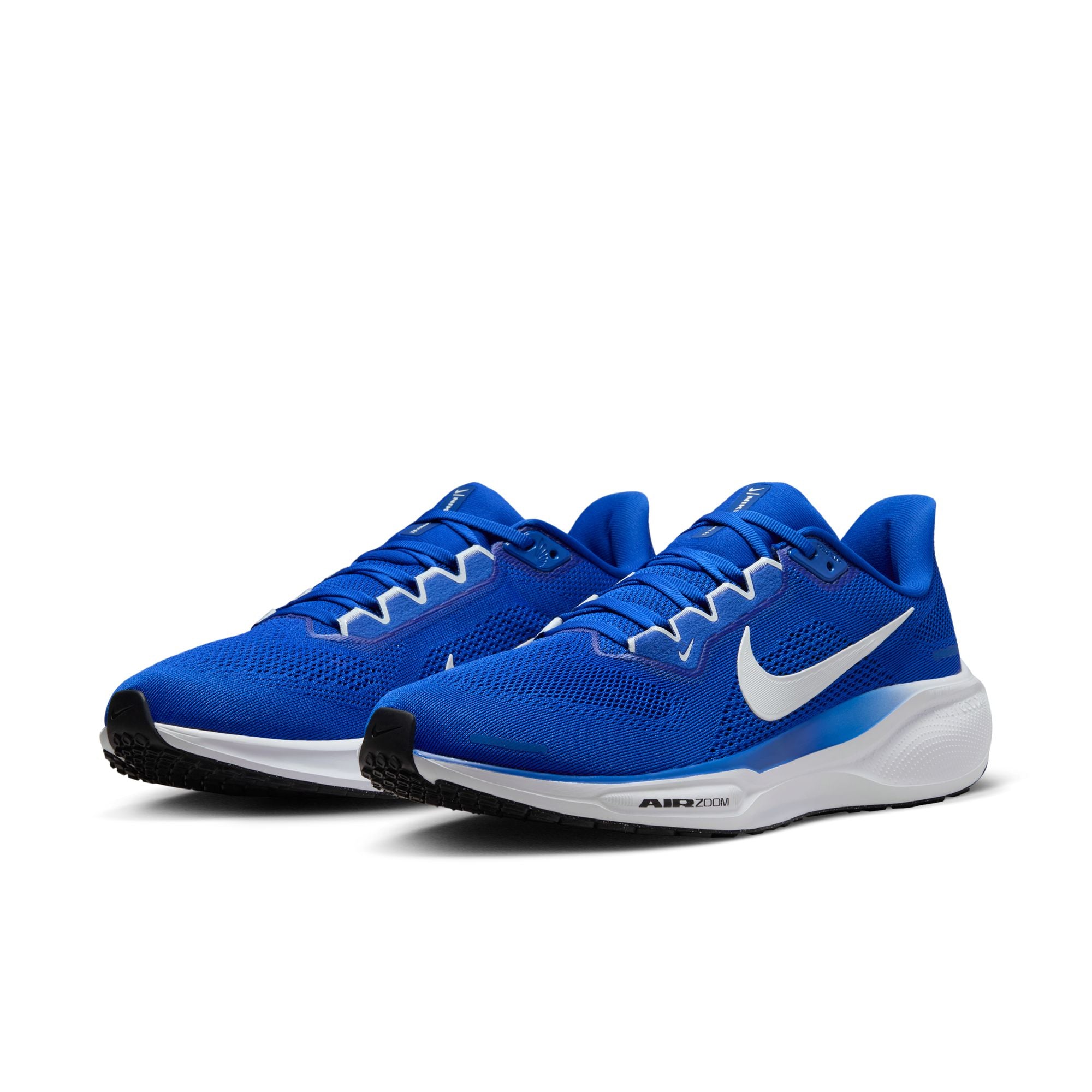 Air Zoom Pegasus 41 TB product image