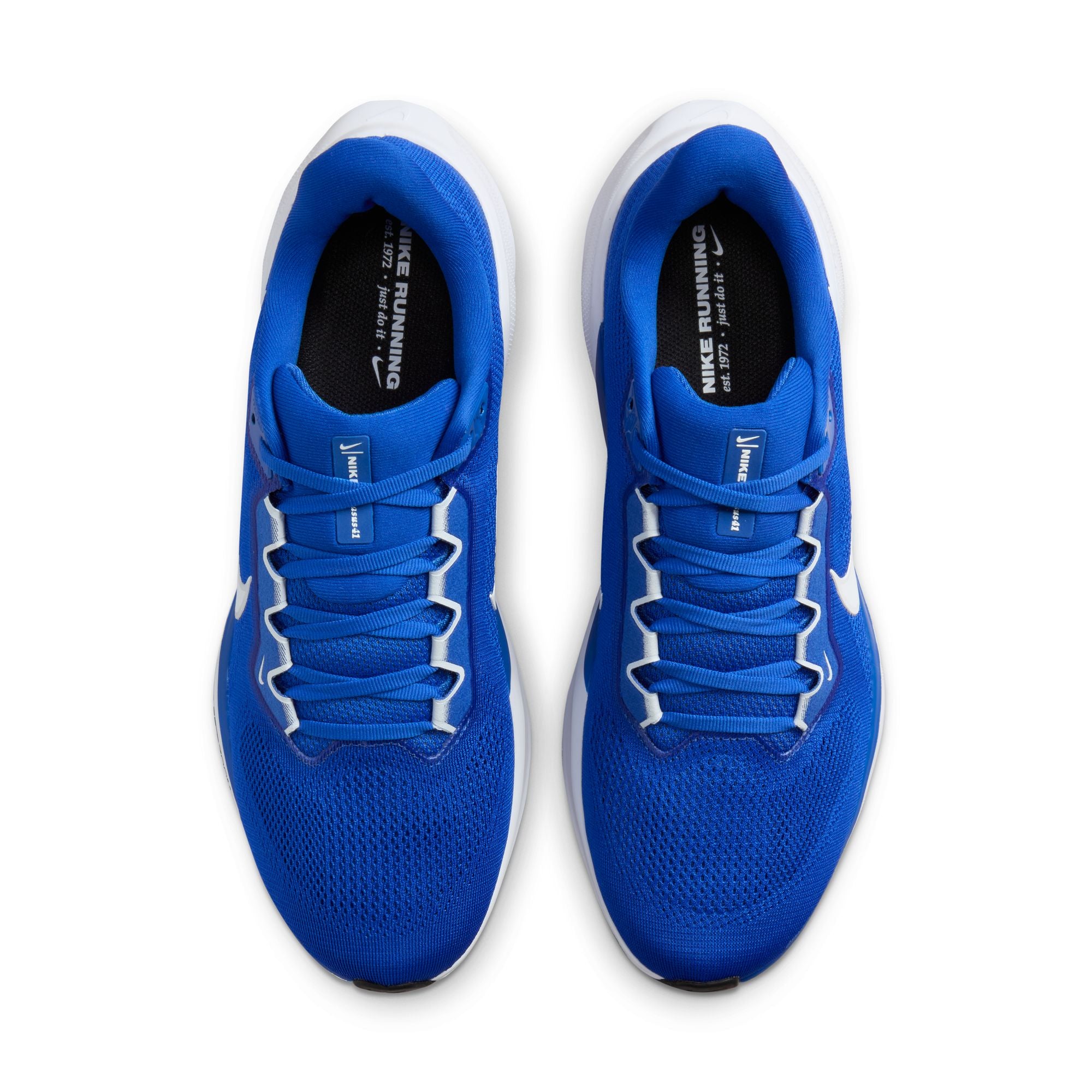 Air Zoom Pegasus 41 TB product image