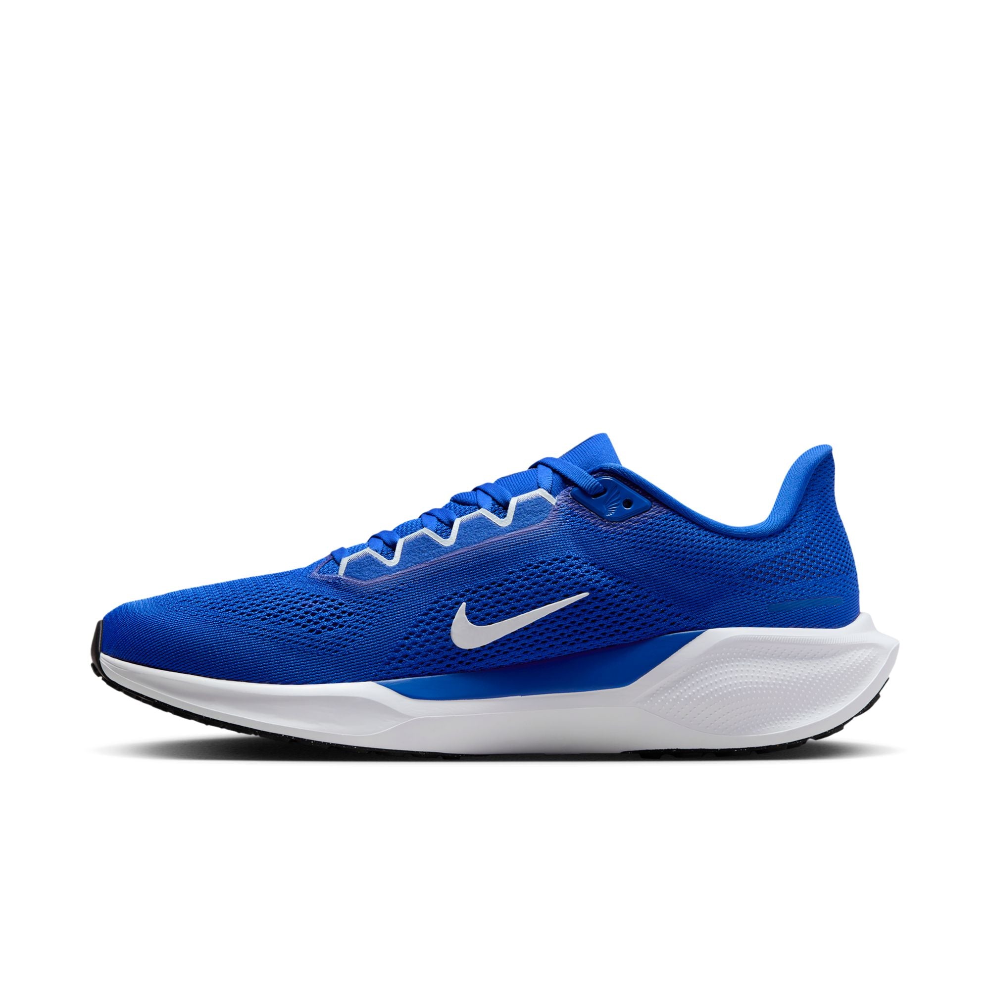 Air Zoom Pegasus 41 TB product image