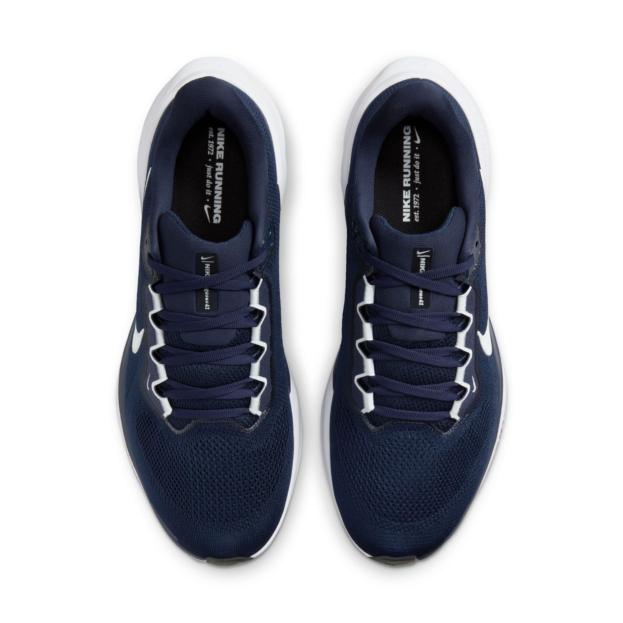 Air Zoom Pegasus 41 TB product image