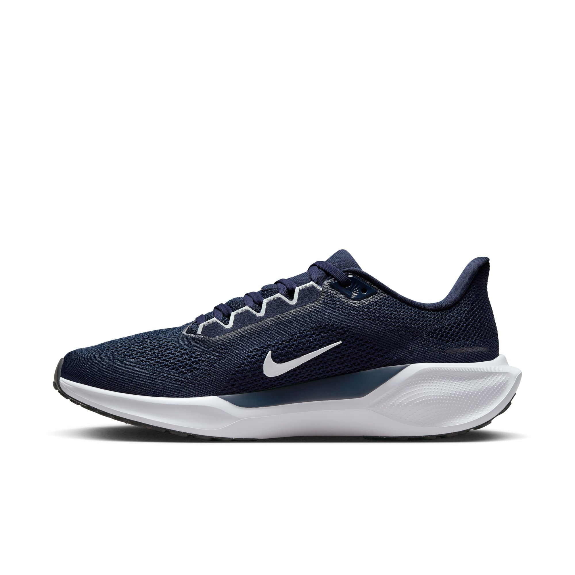 Air Zoom Pegasus 41 TB product image