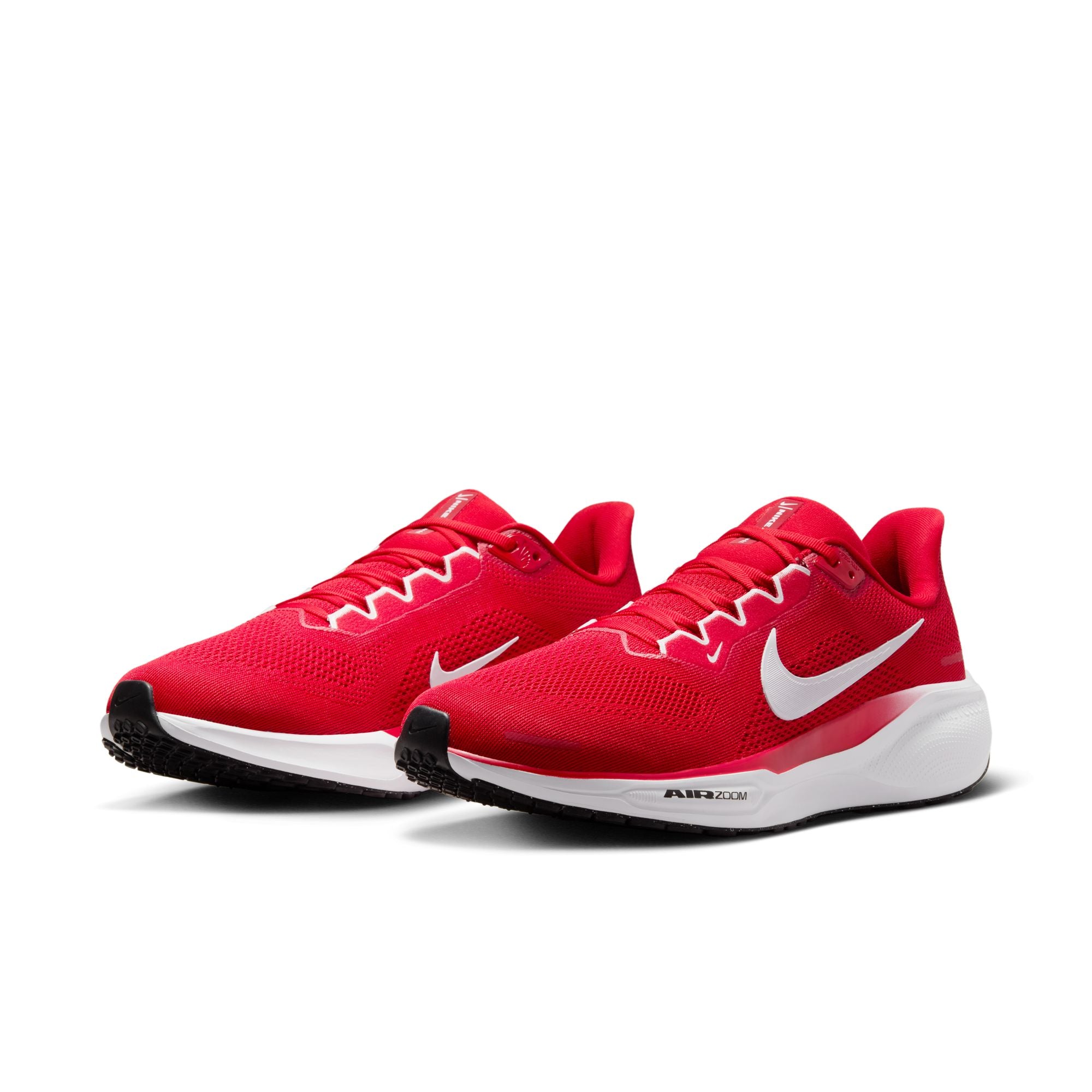 Air Zoom Pegasus 41 TB product image