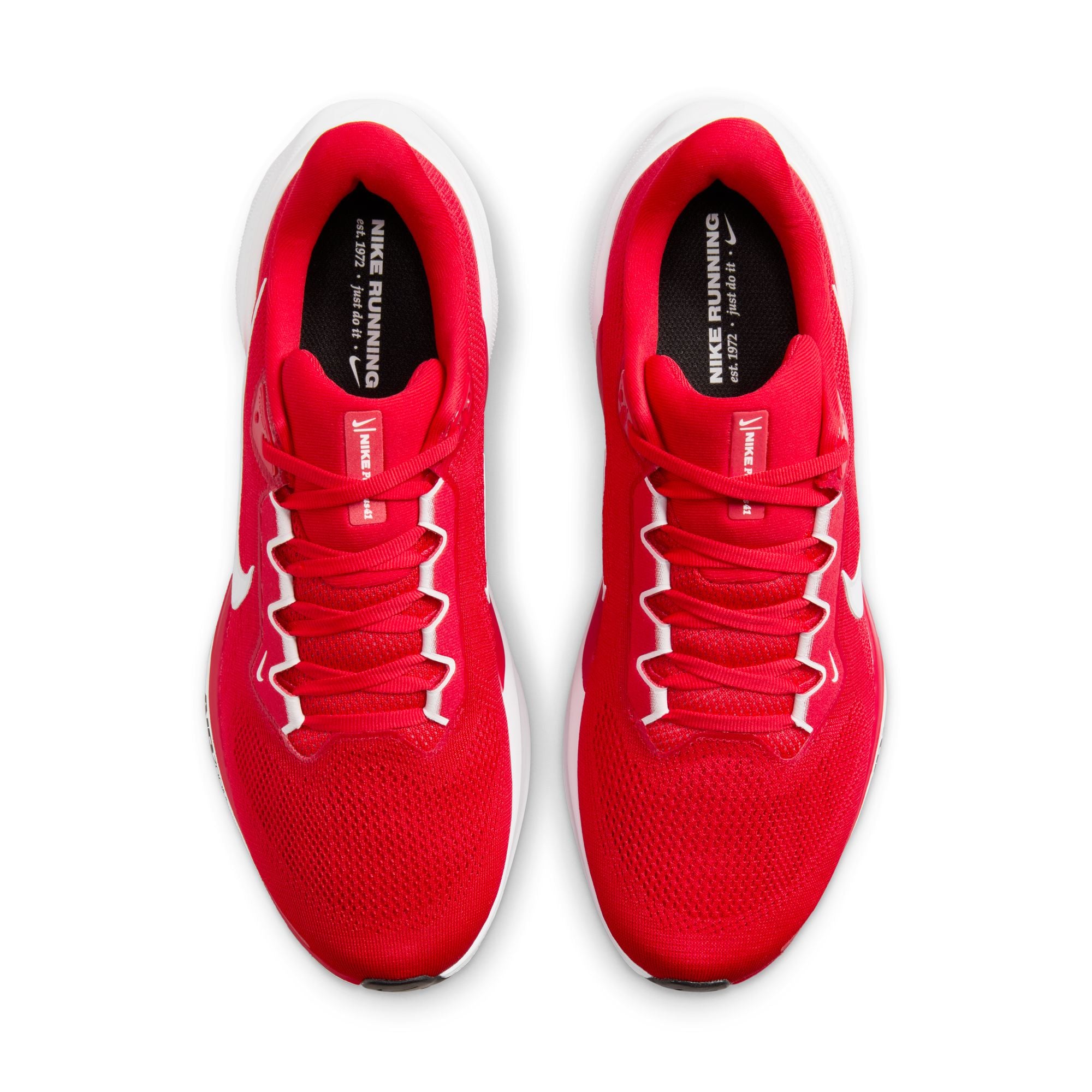 Air Zoom Pegasus 41 TB product image