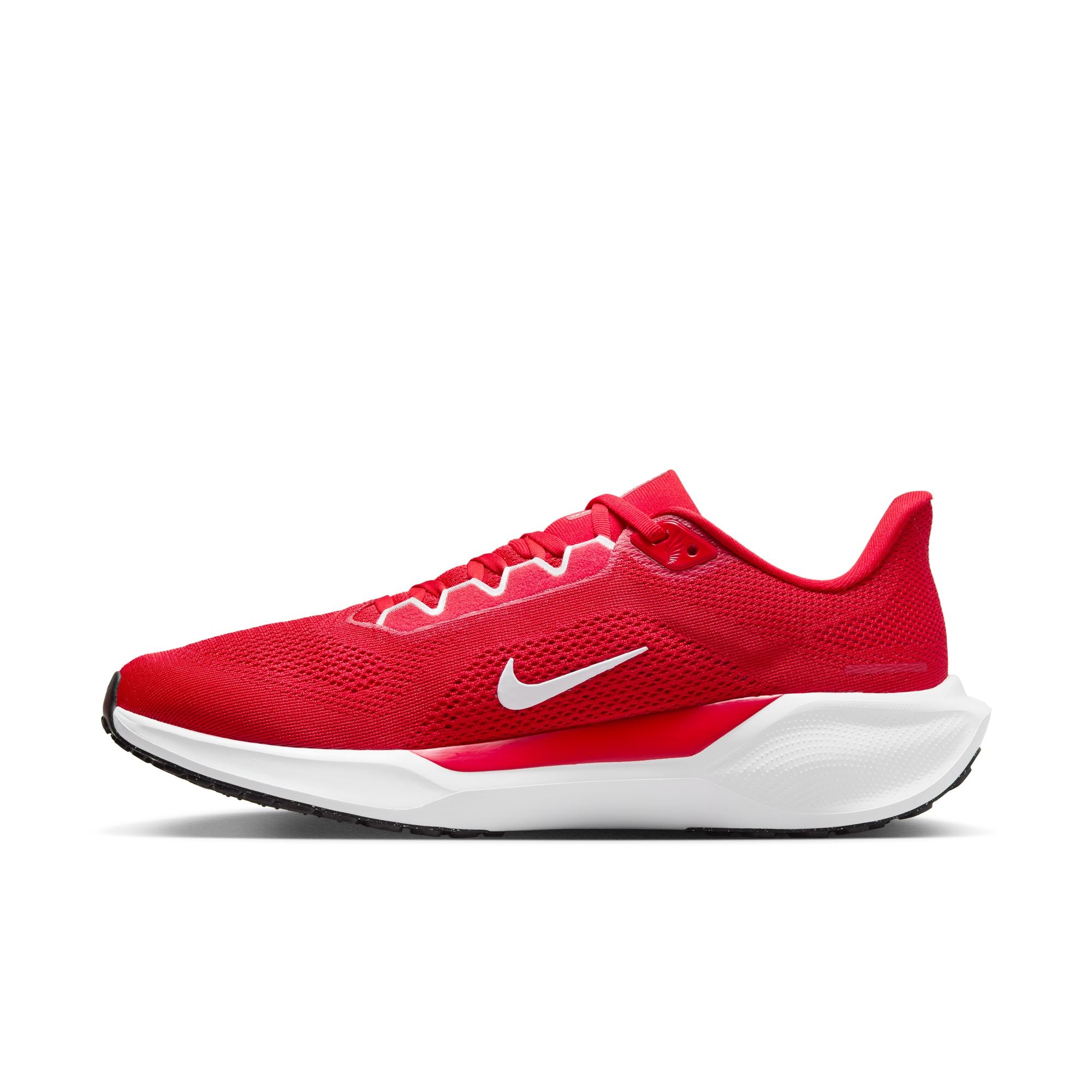 Air Zoom Pegasus 41 TB product image