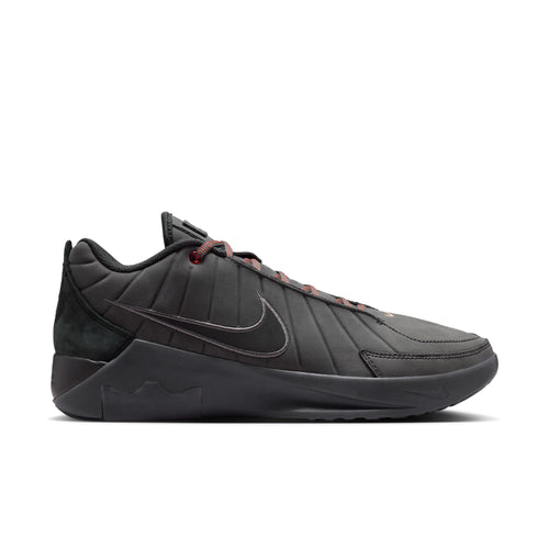 LeBron Witness IX