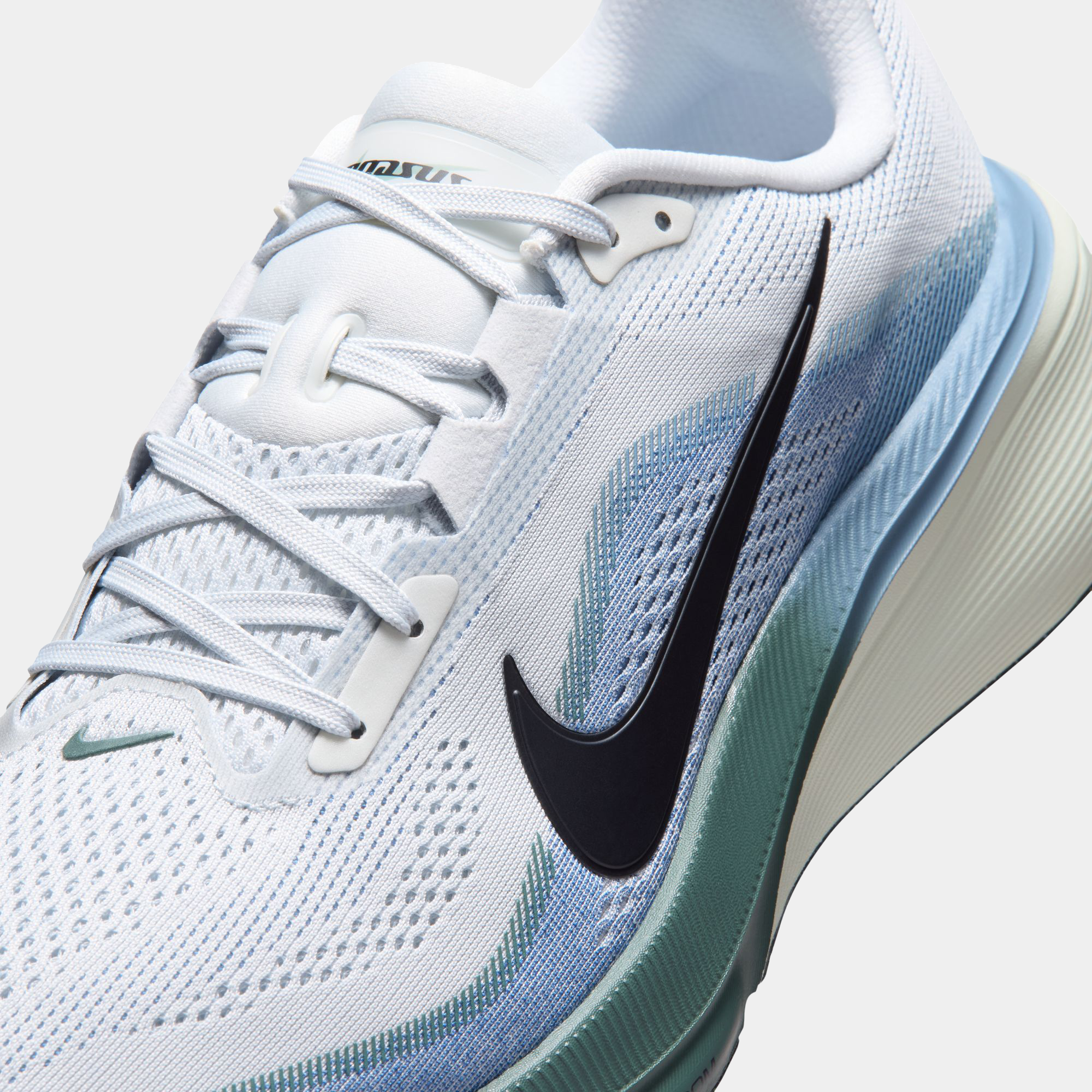 Air Zoom Pegasus 42 product image