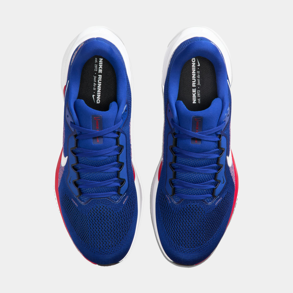 Men's Nike Air Zoom Pegasus 41 (Large Sizes) | Big Shoes – BigShoes
