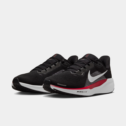 Atlanta Falcons Pegasus 41
